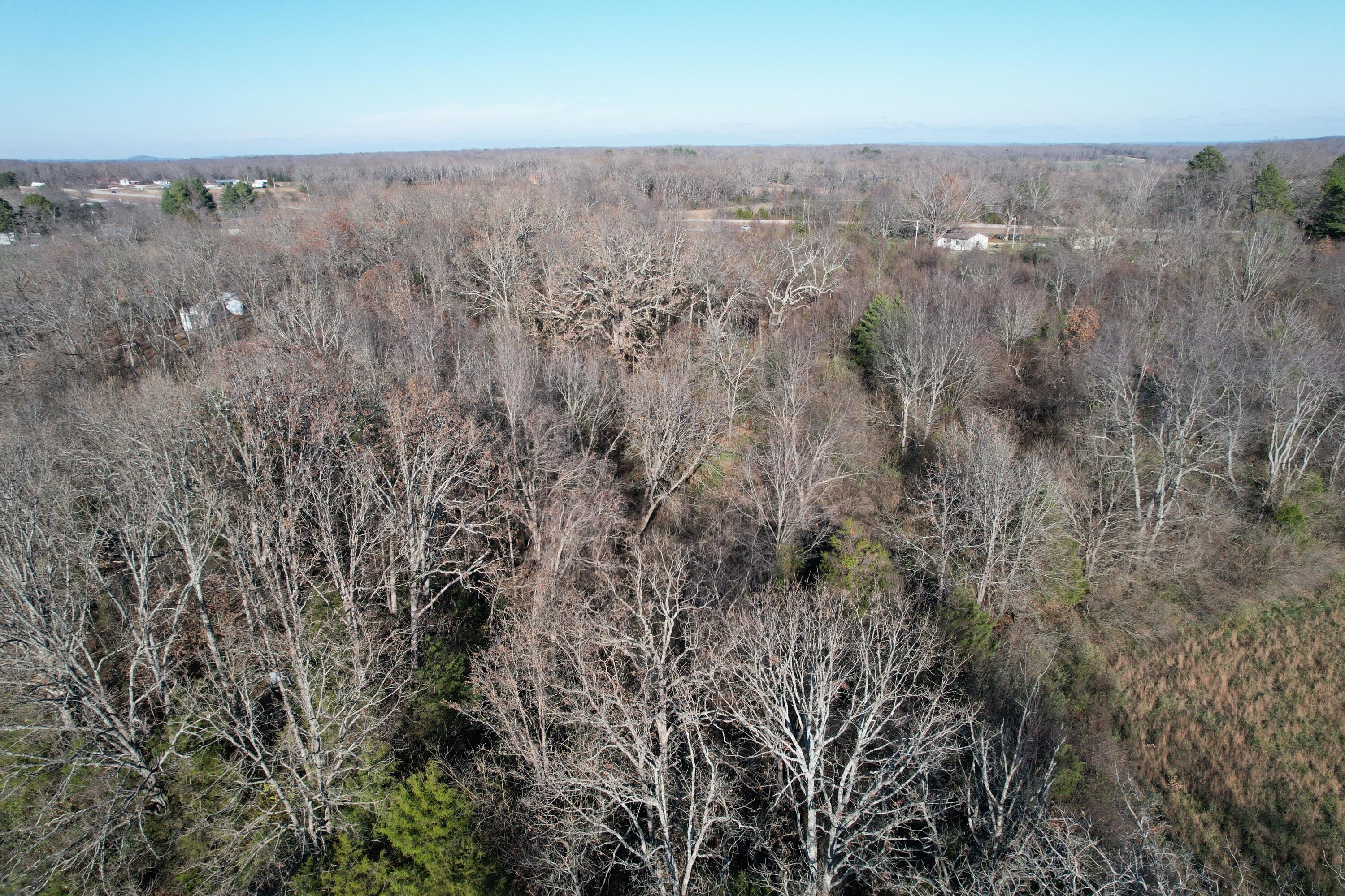 Photo 8 - Land for sale – 000  Highway 63   Pomona, MO