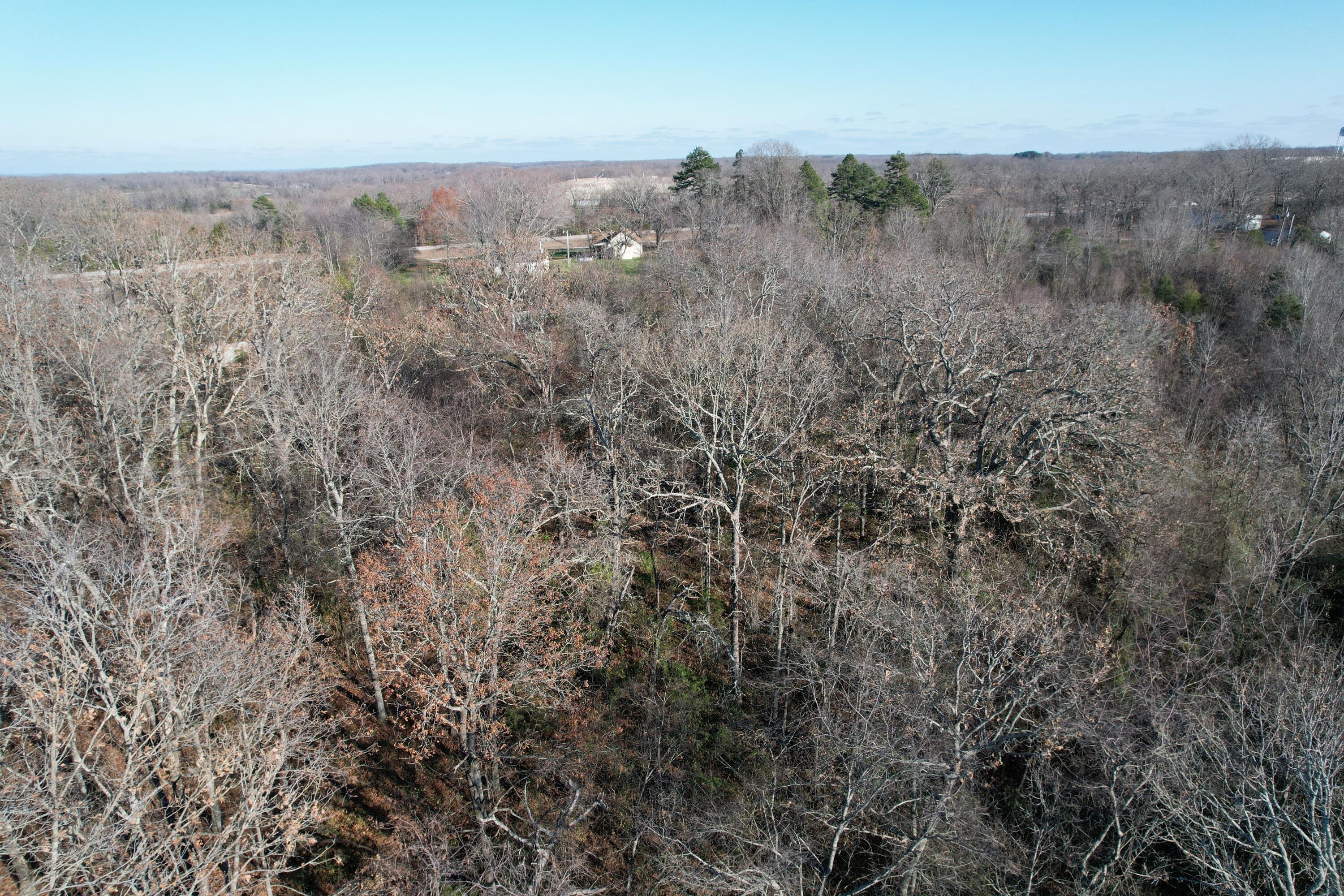 Photo 5 - Land for sale – 000  Highway 63   Pomona, MO