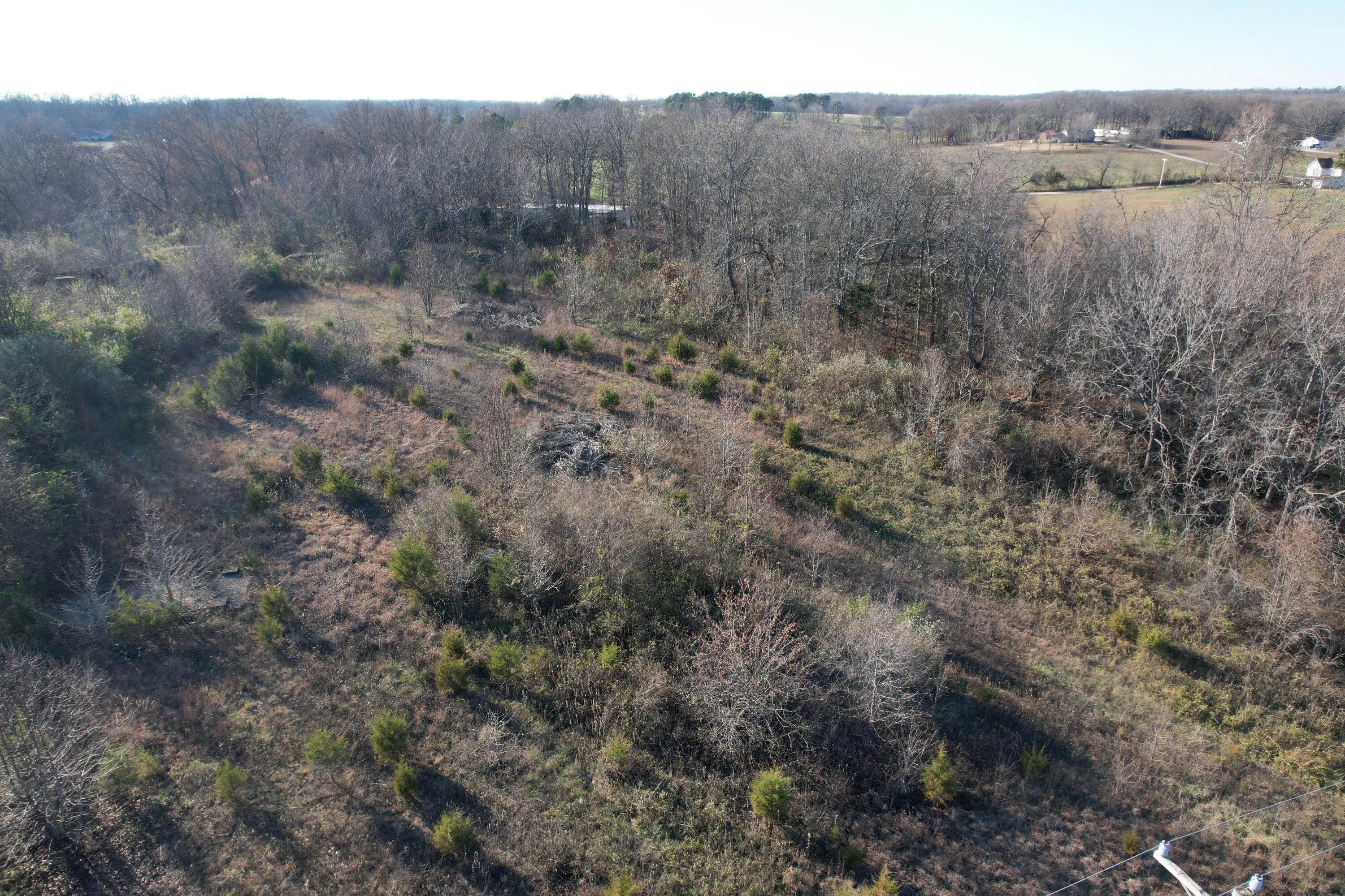 Photo 15 - Land for sale – 000  Highway 63   Pomona, MO