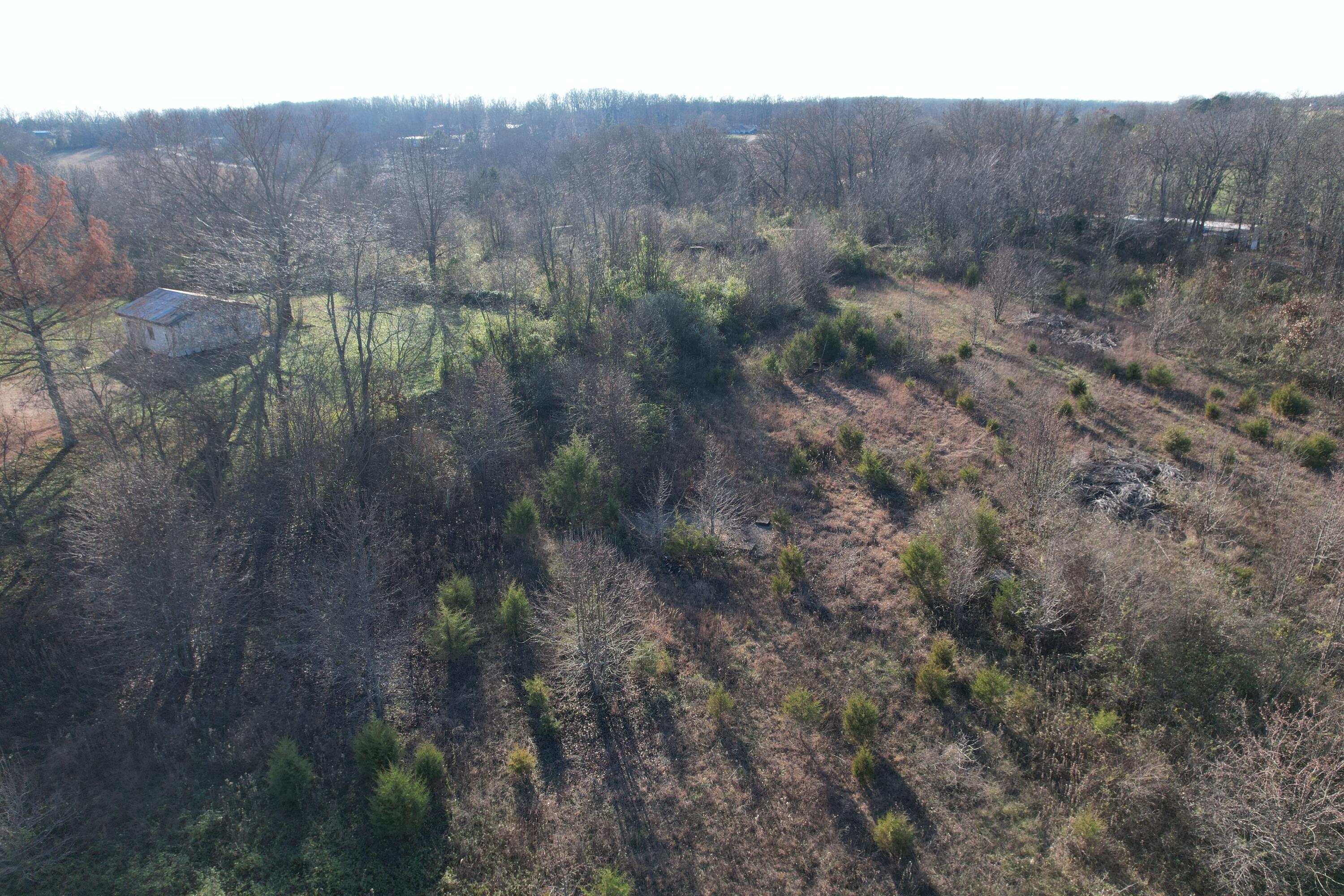 Photo 16 - Land for sale – 000  Highway 63   Pomona, MO