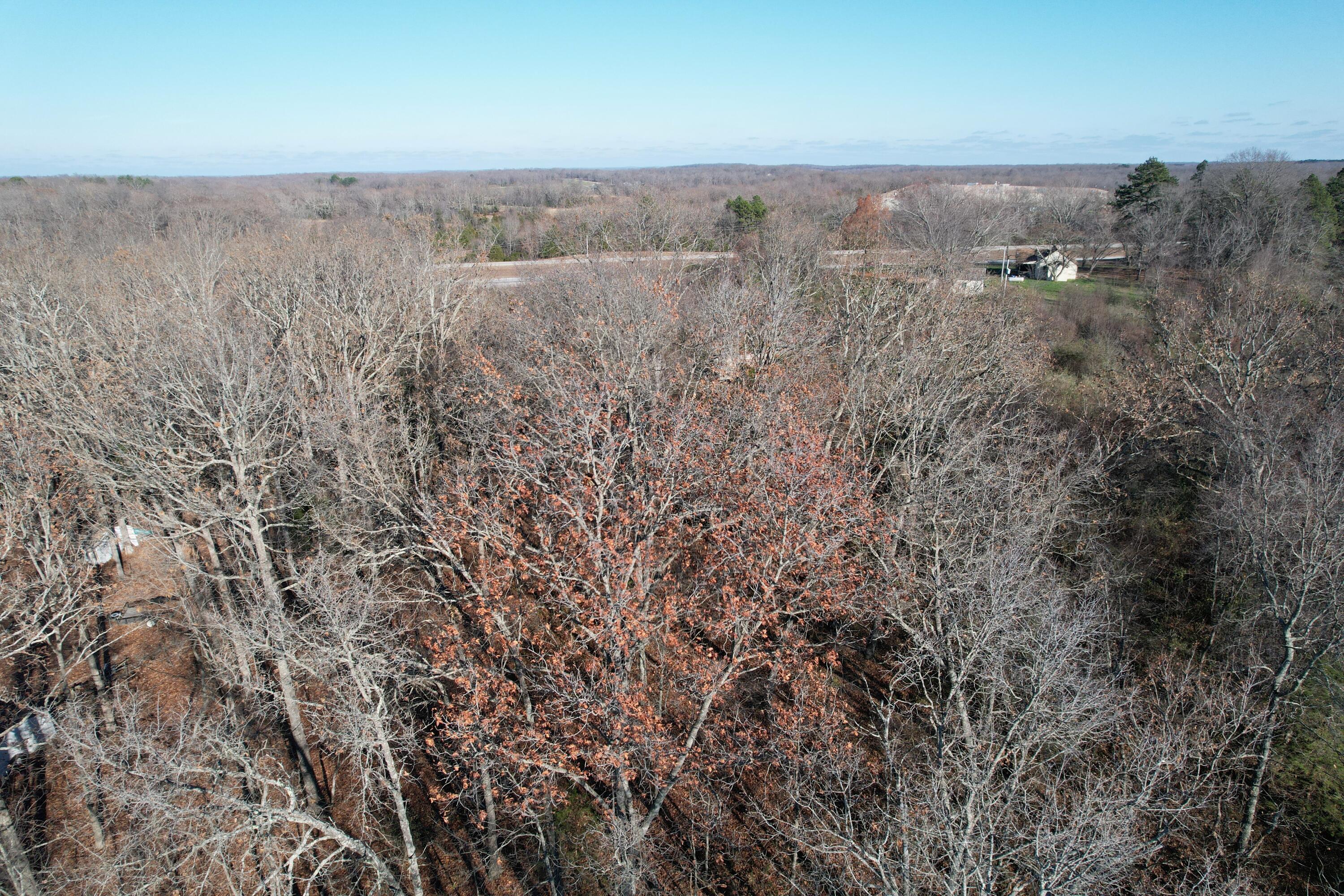 Photo 7 - Land for sale – 000  Highway 63   Pomona, MO