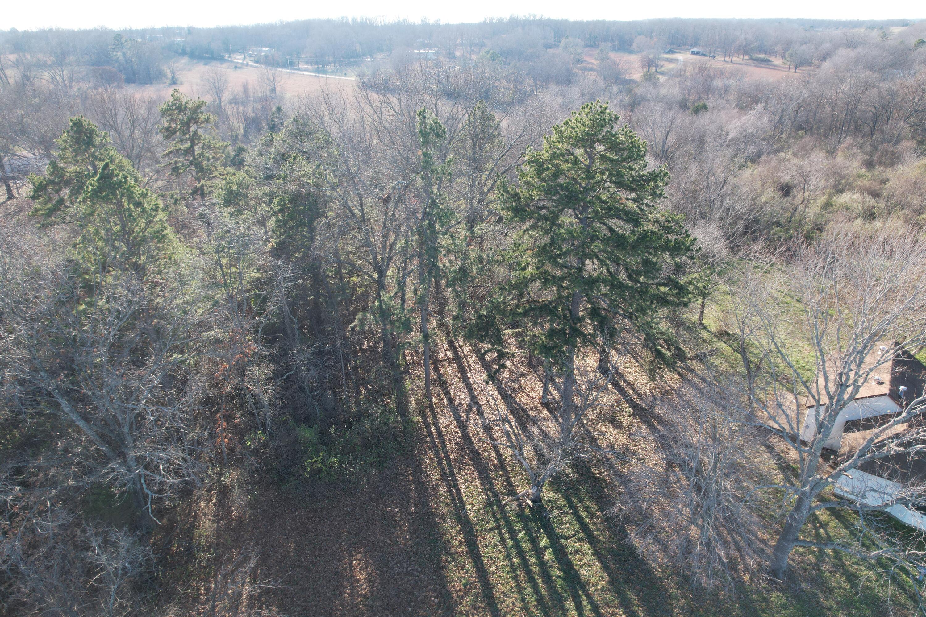 Photo 24 - Land for sale – 000  Highway 63   Pomona, MO