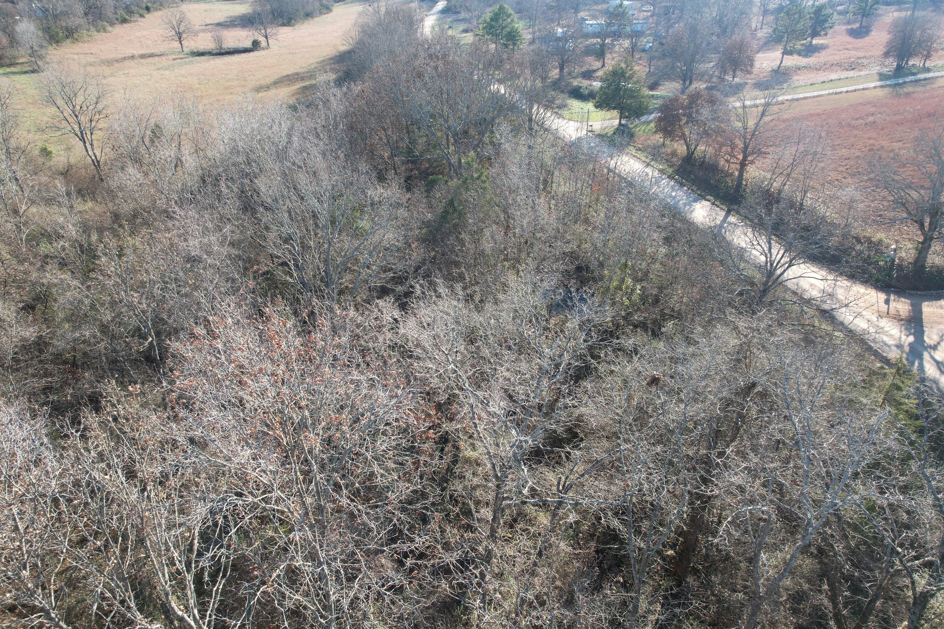 Photo 6 - Land for sale – 000  Highway 63   Pomona, MO