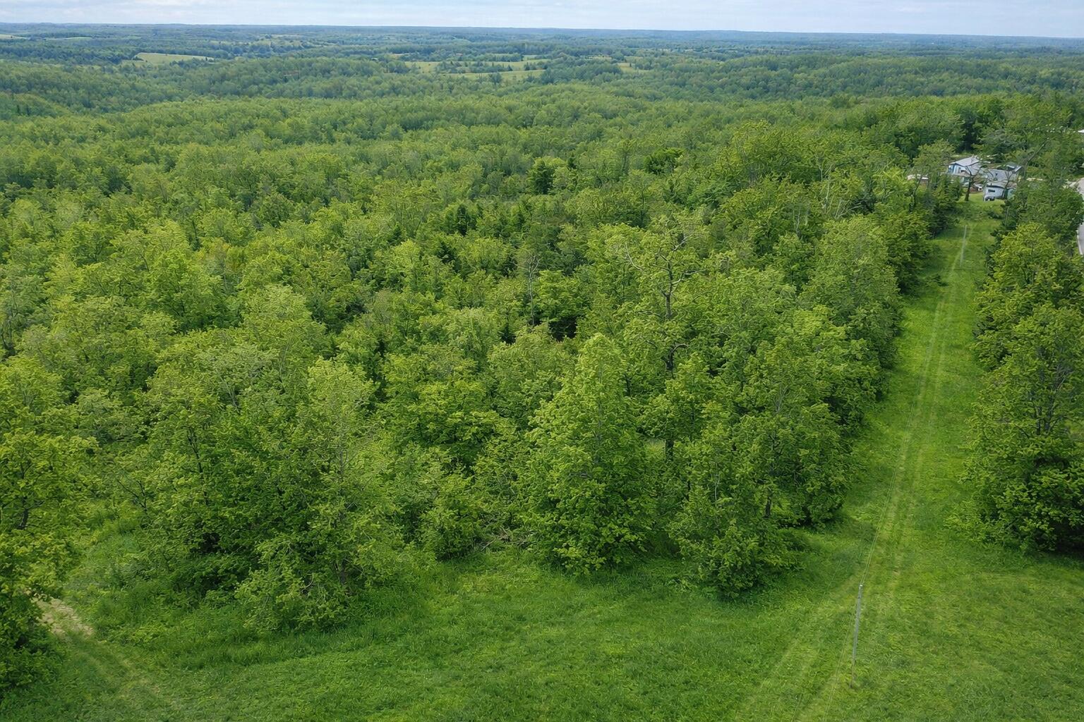 Photo 2 - Land for sale – 000  A Highway   Thayer, MO