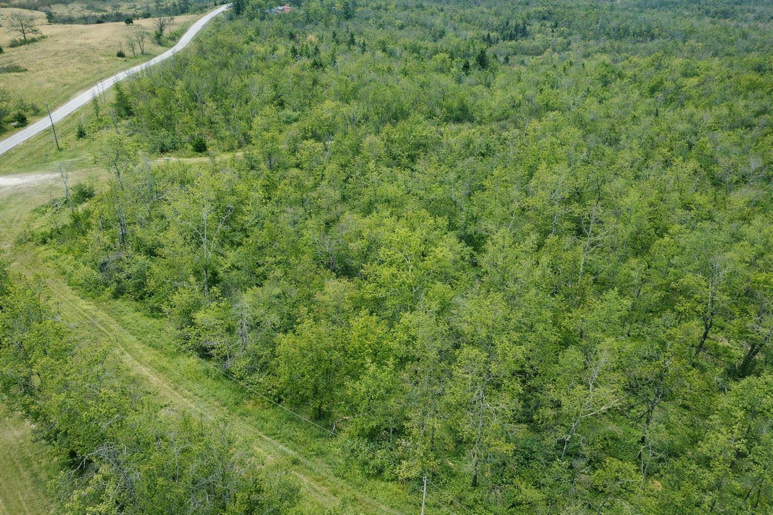 Photo 3 - Land for sale – 000  A Highway   Thayer, MO
