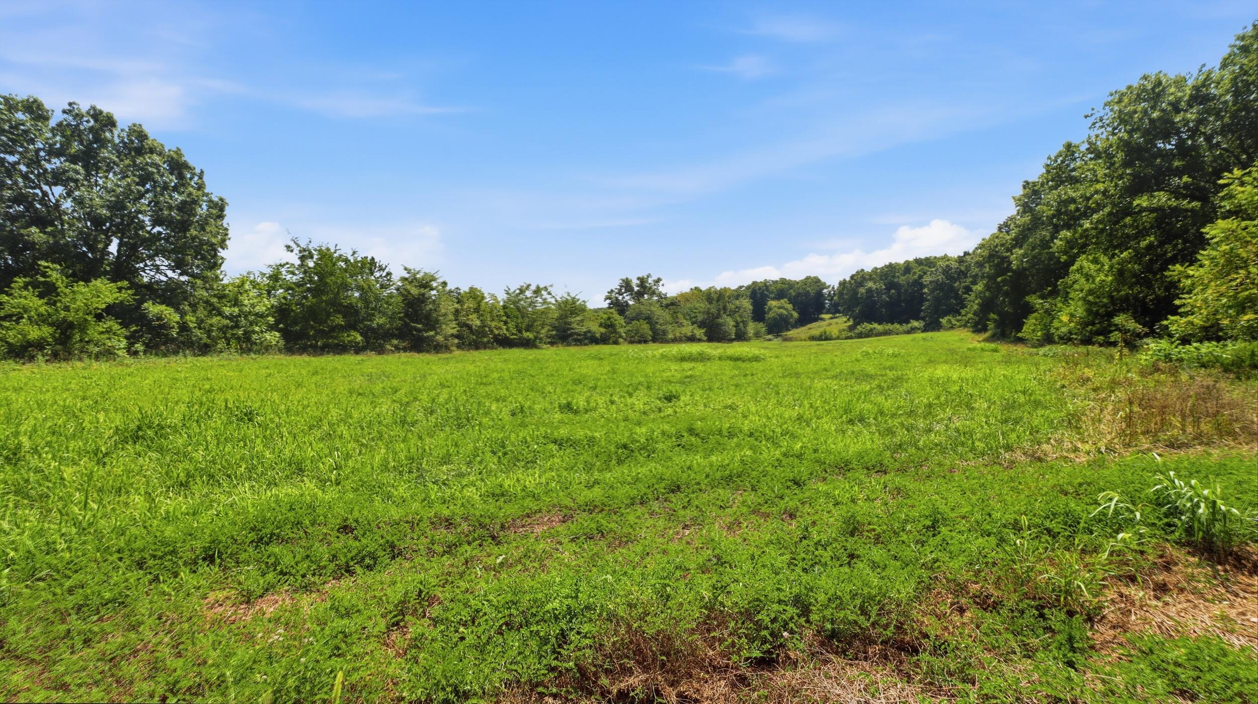 Photo 57 - Residential for sale – 18482  Dixon Road  Licking, MO
