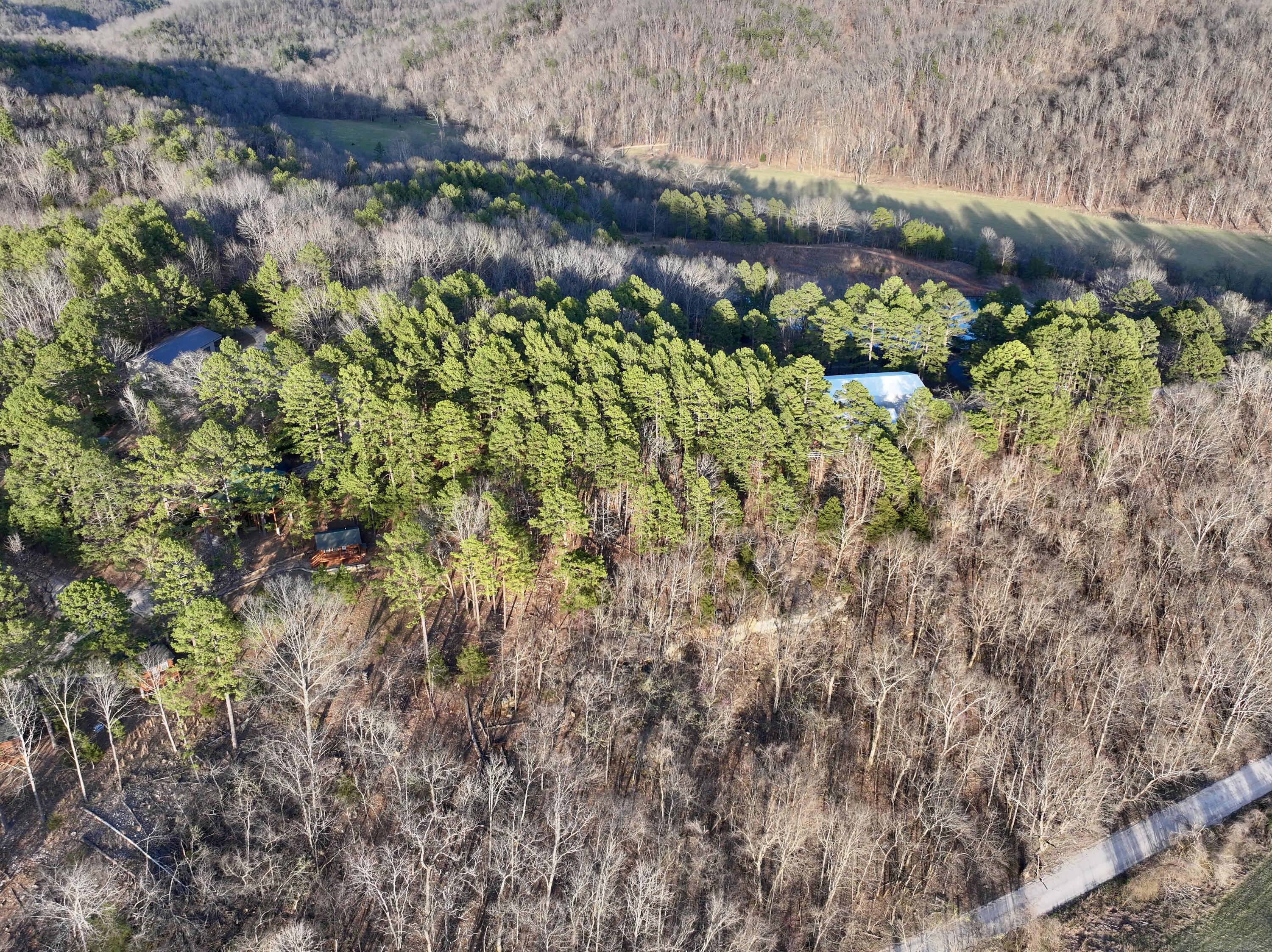 Photo 12 - Land for sale – 000  Brown Road Lot   Van Buren, MO