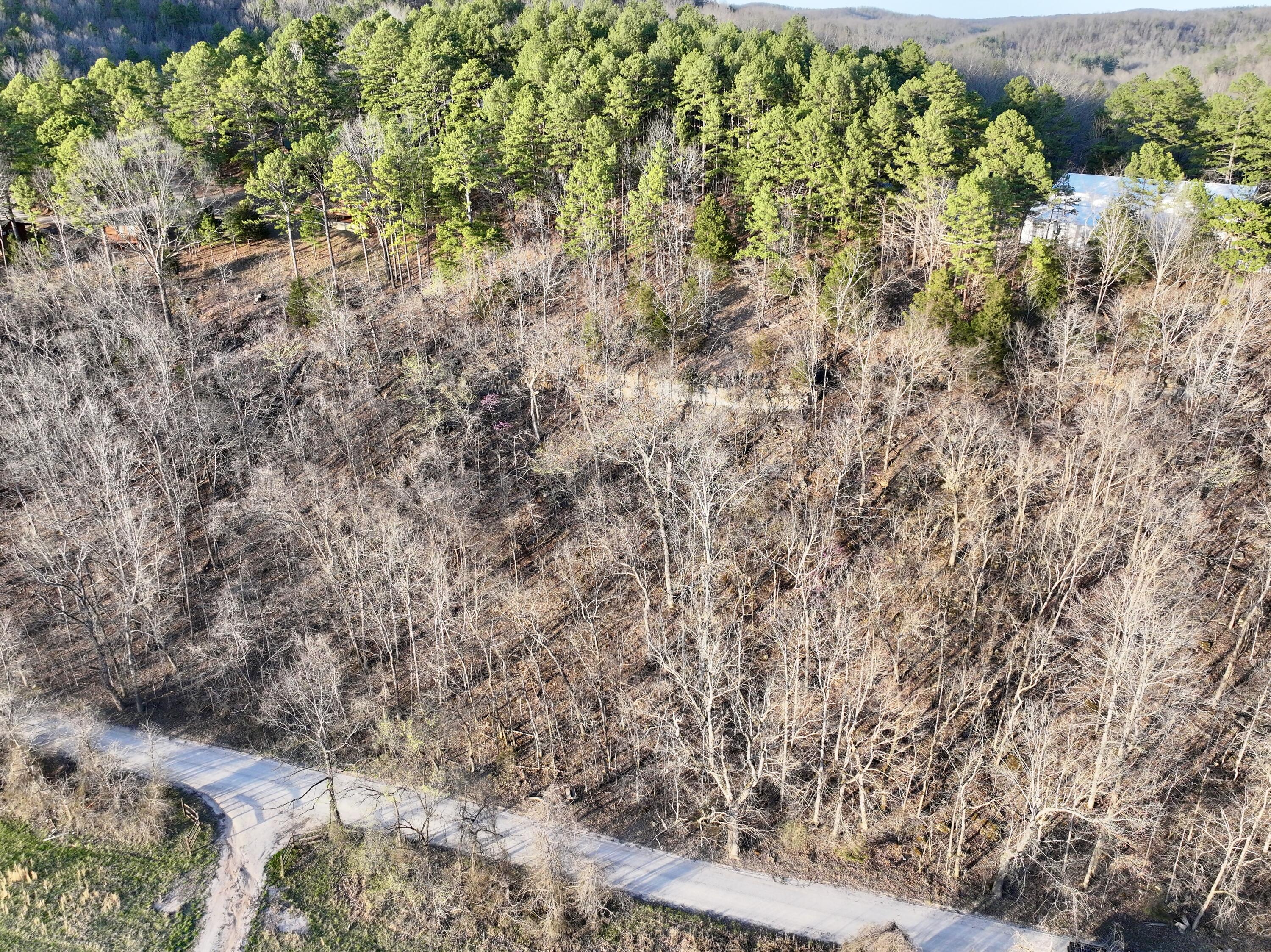 Photo 16 - Land for sale – 000  Brown Road Lot   Van Buren, MO