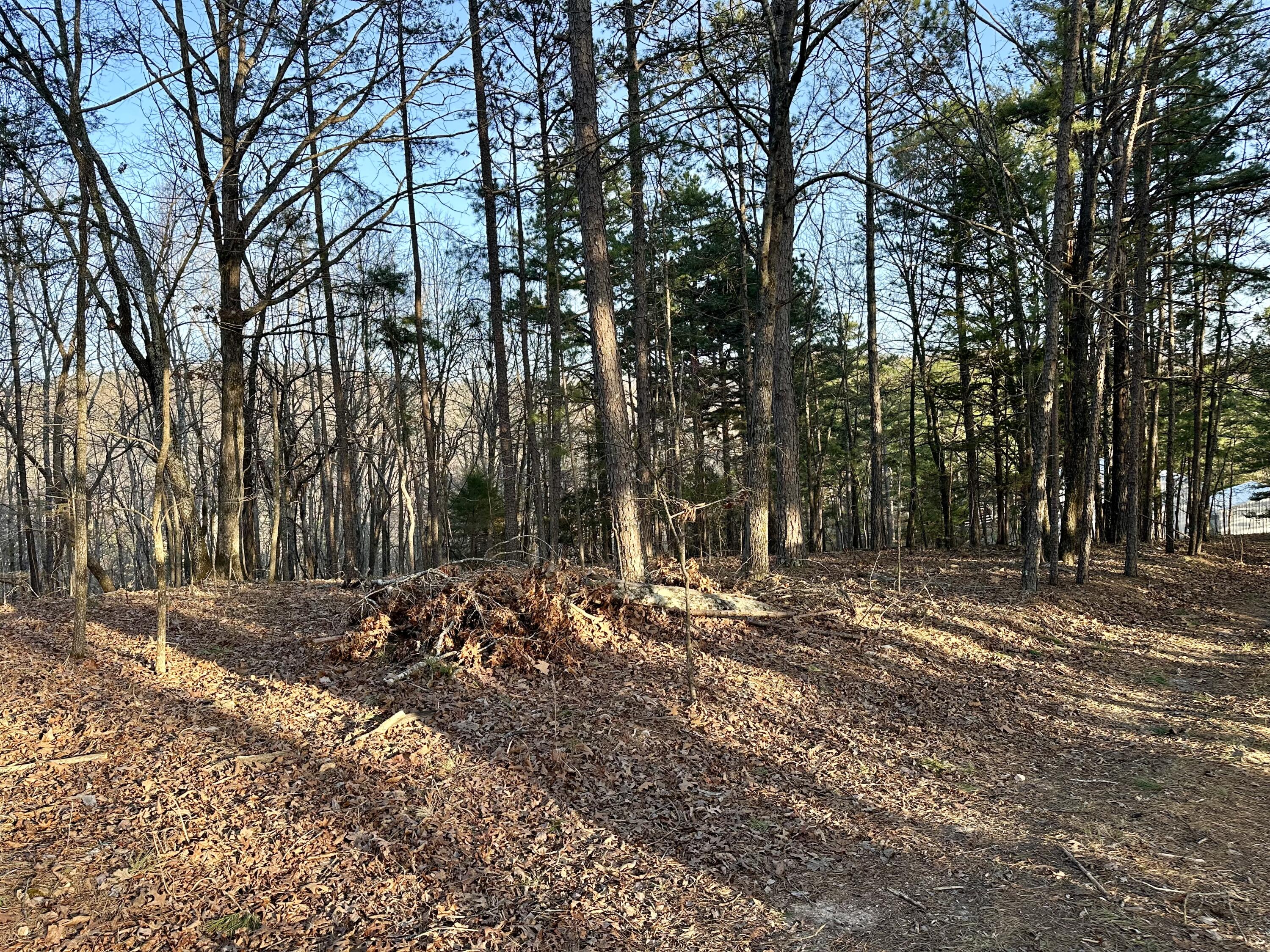 Land for sale – 000  Brown Road Lot   Van Buren, MO