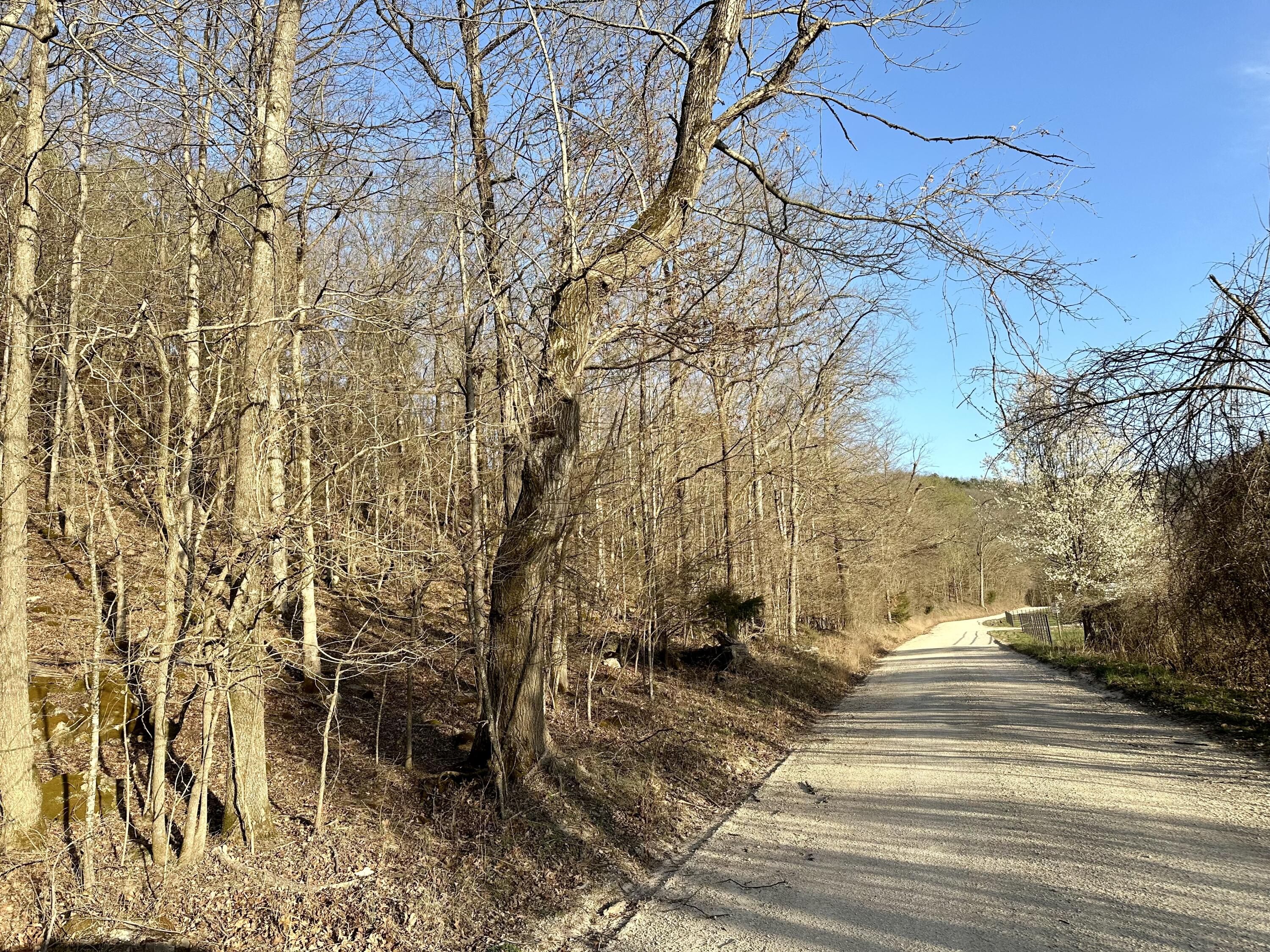 Photo 3 - Land for sale – 000  Brown Road Lot   Van Buren, MO