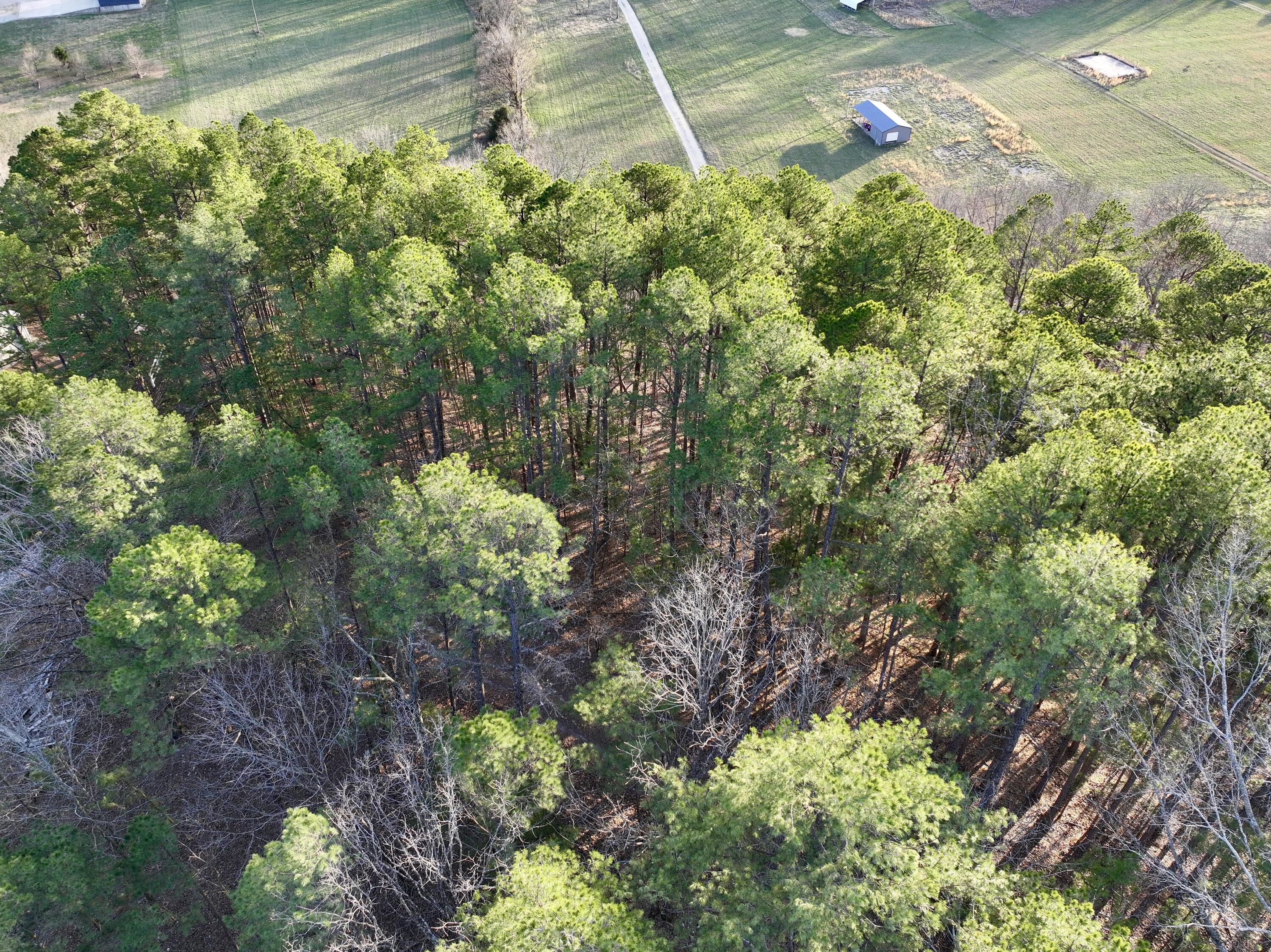 Photo 8 - Land for sale – 000  Brown Road Lot   Van Buren, MO