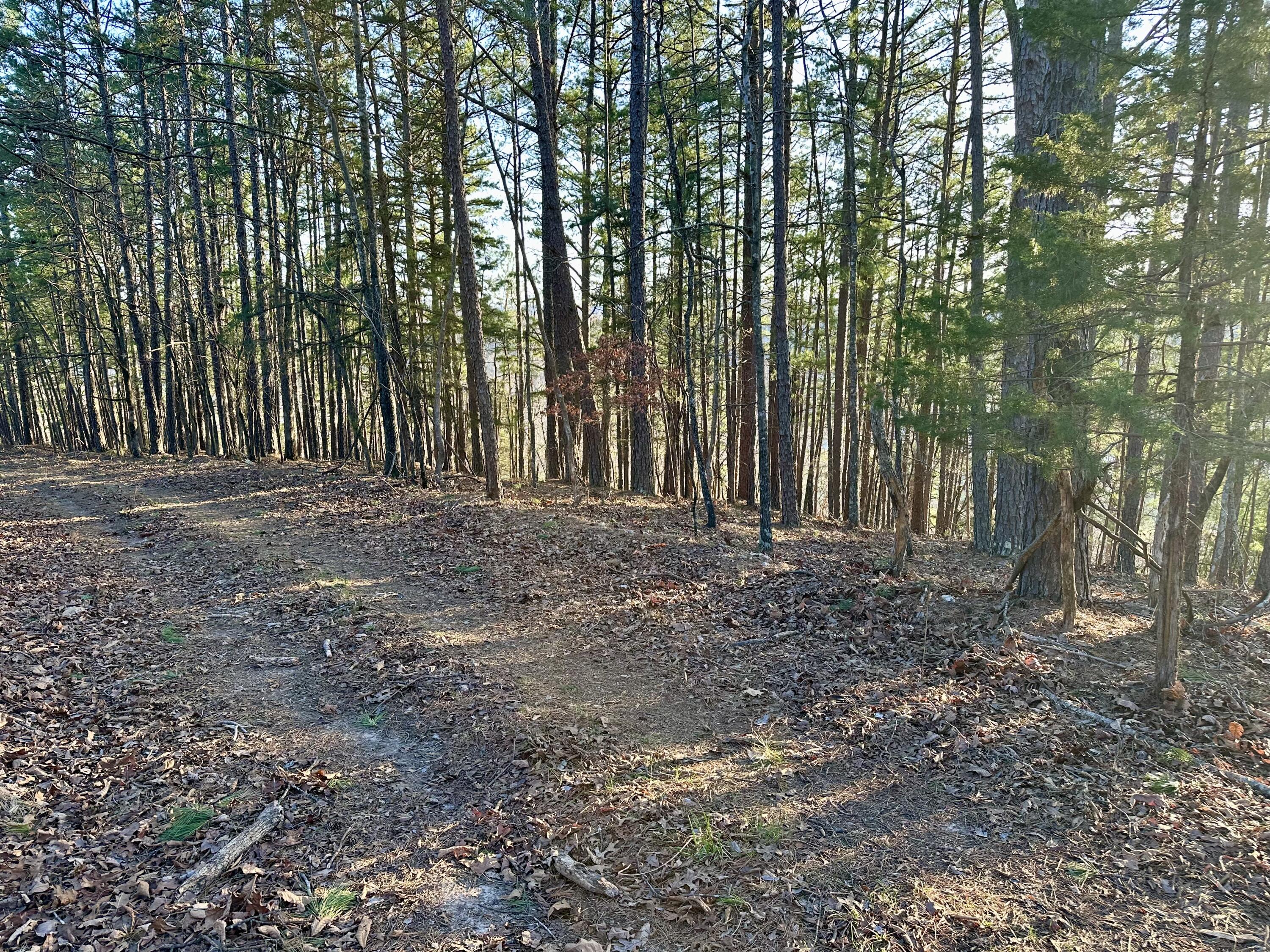 Photo 6 - Land for sale – 000  Brown Road Lot   Van Buren, MO