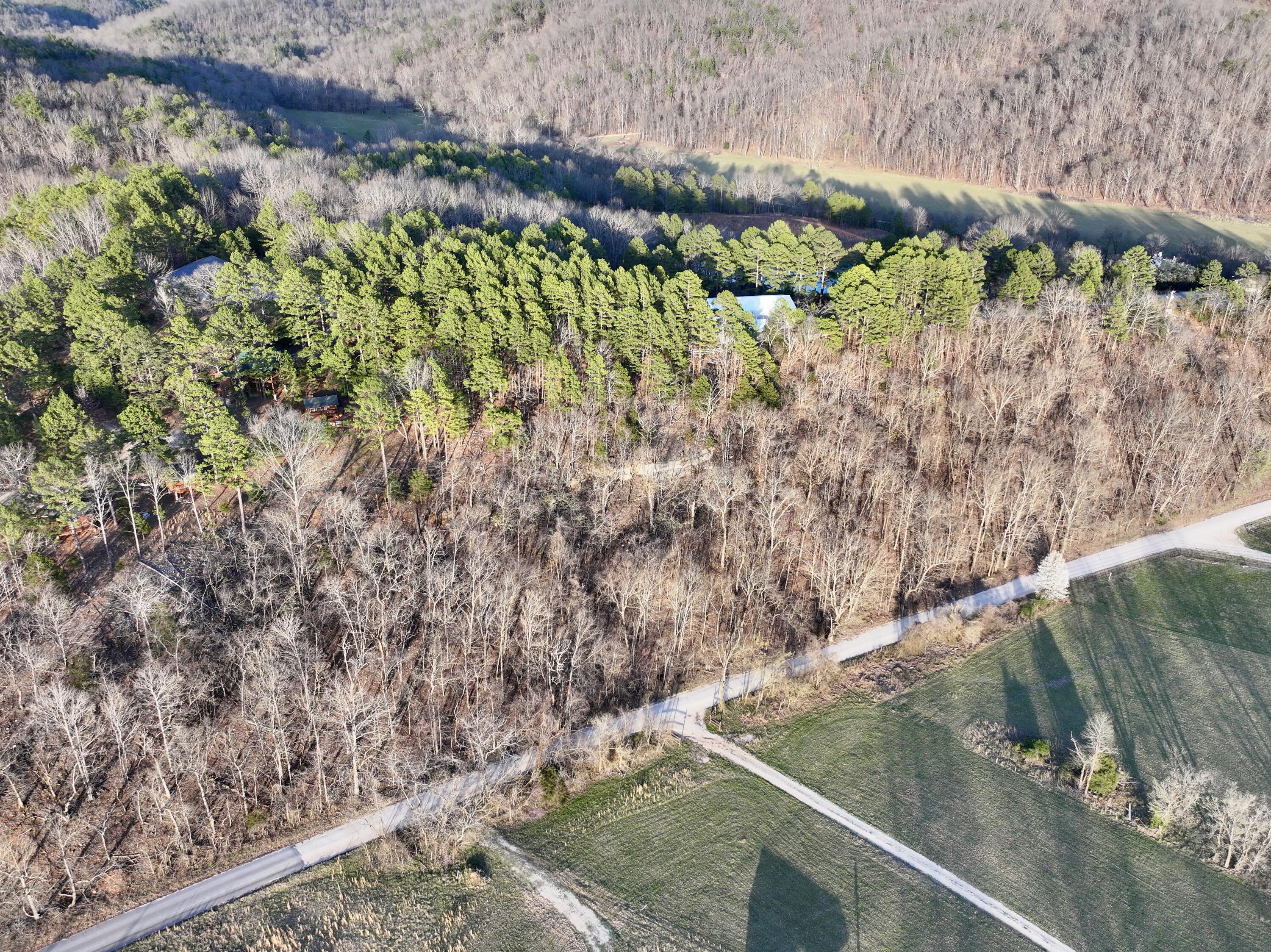 Photo 13 - Land for sale – 000  Brown Road Lot   Van Buren, MO