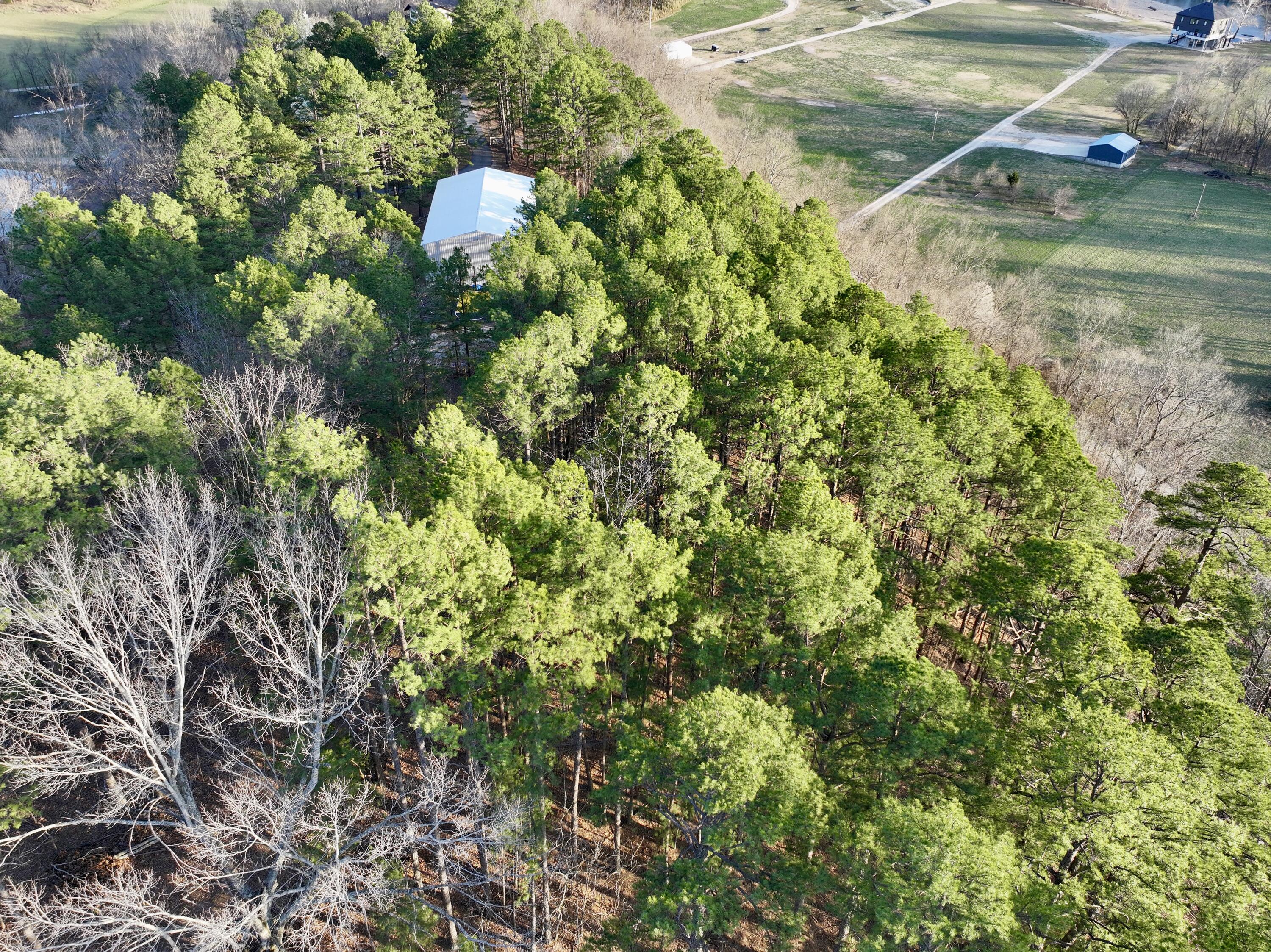 Photo 10 - Land for sale – 000  Brown Road Lot   Van Buren, MO