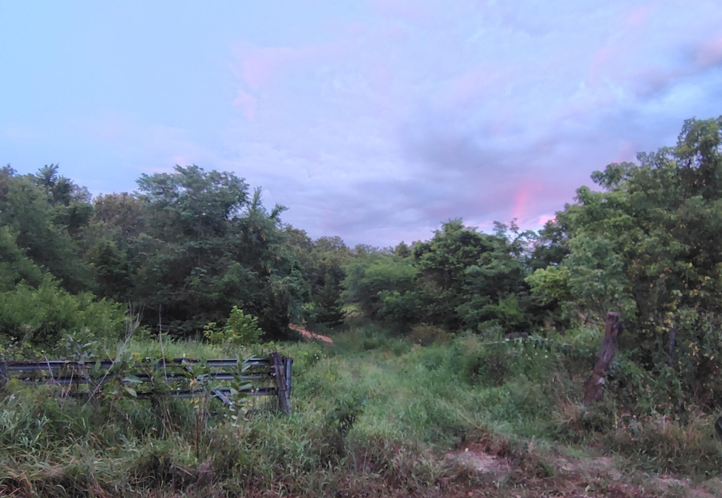 Land for sale – 000 County Road 150 Preston, MO