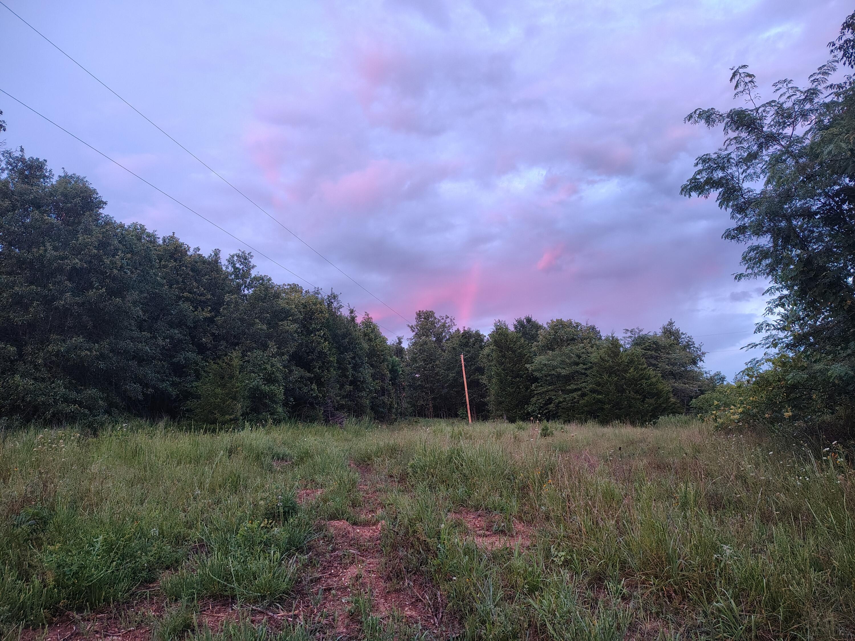 Photo 2 - Land for sale – 000  County Road 150   Preston, MO