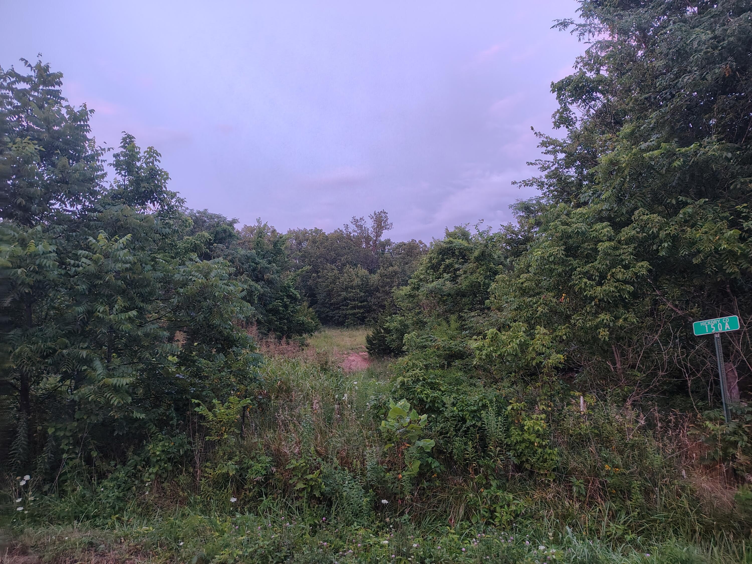 Photo 3 - Land for sale – 000  County Road 150   Preston, MO