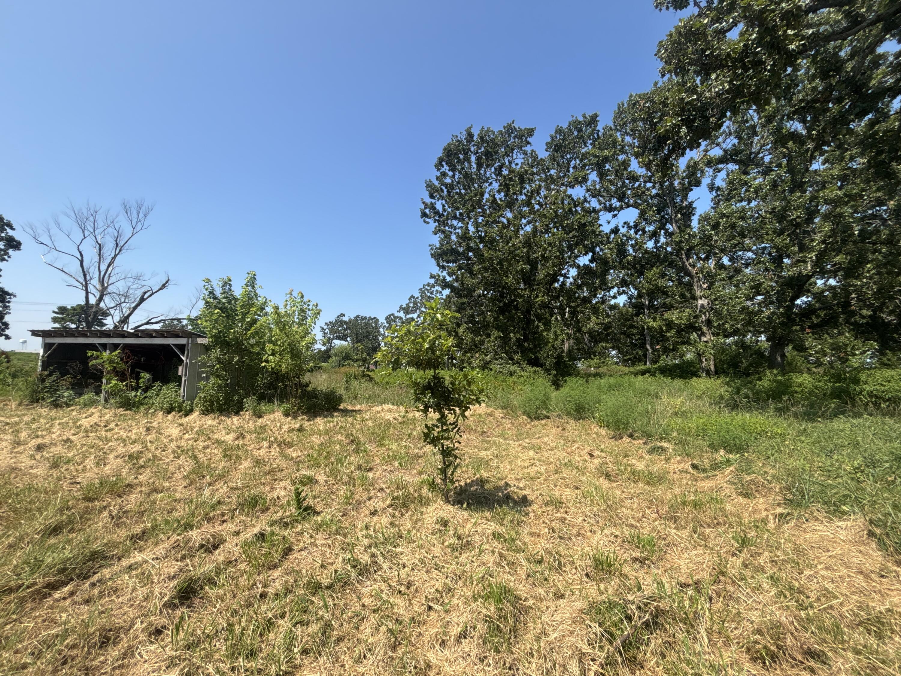 Photo 18 - Residential for sale – 636 W Center Street  Rogersville, MO