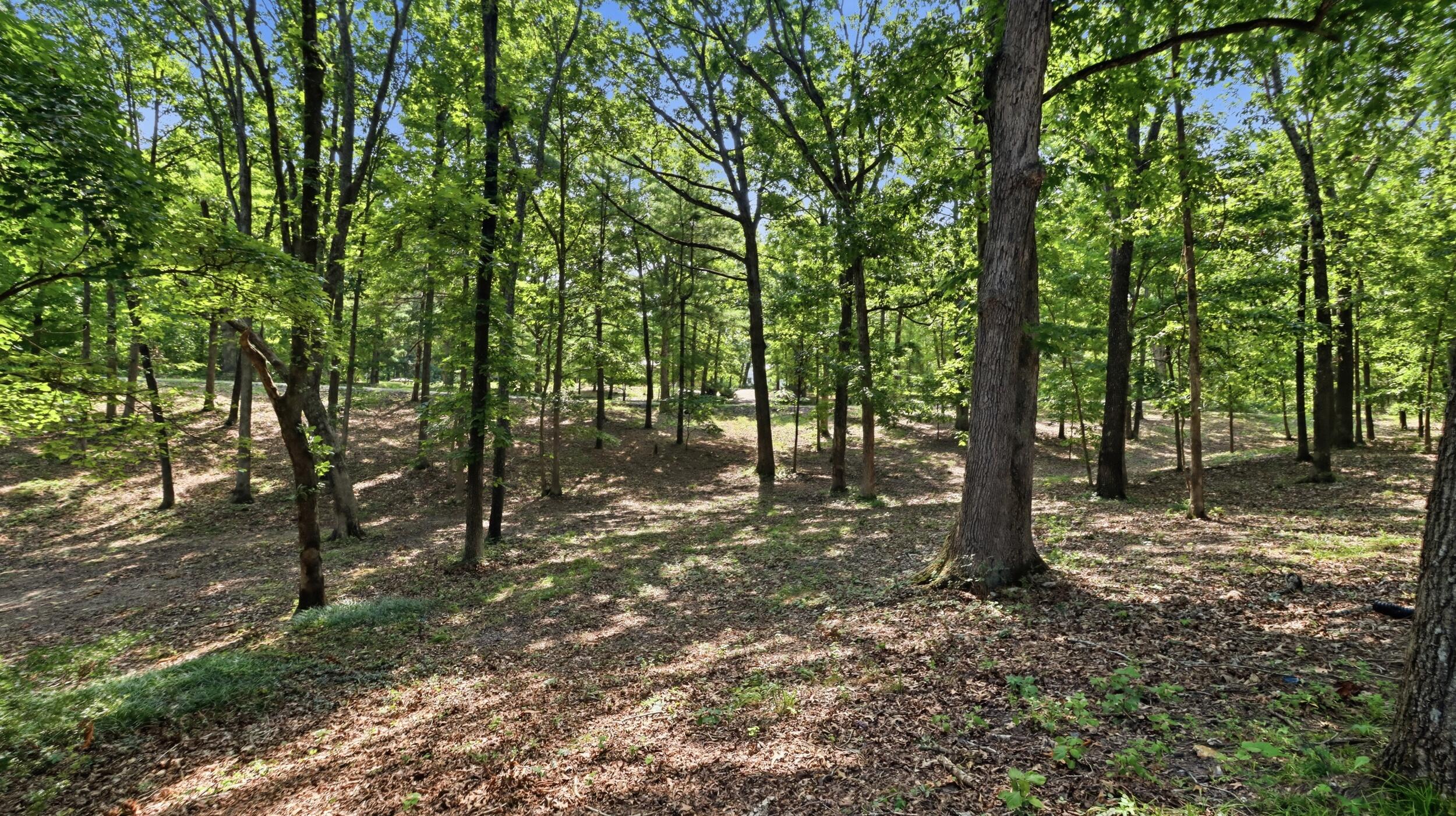 Photo 36 - Residential for sale – 1301  County Road 6020   West Plains, MO