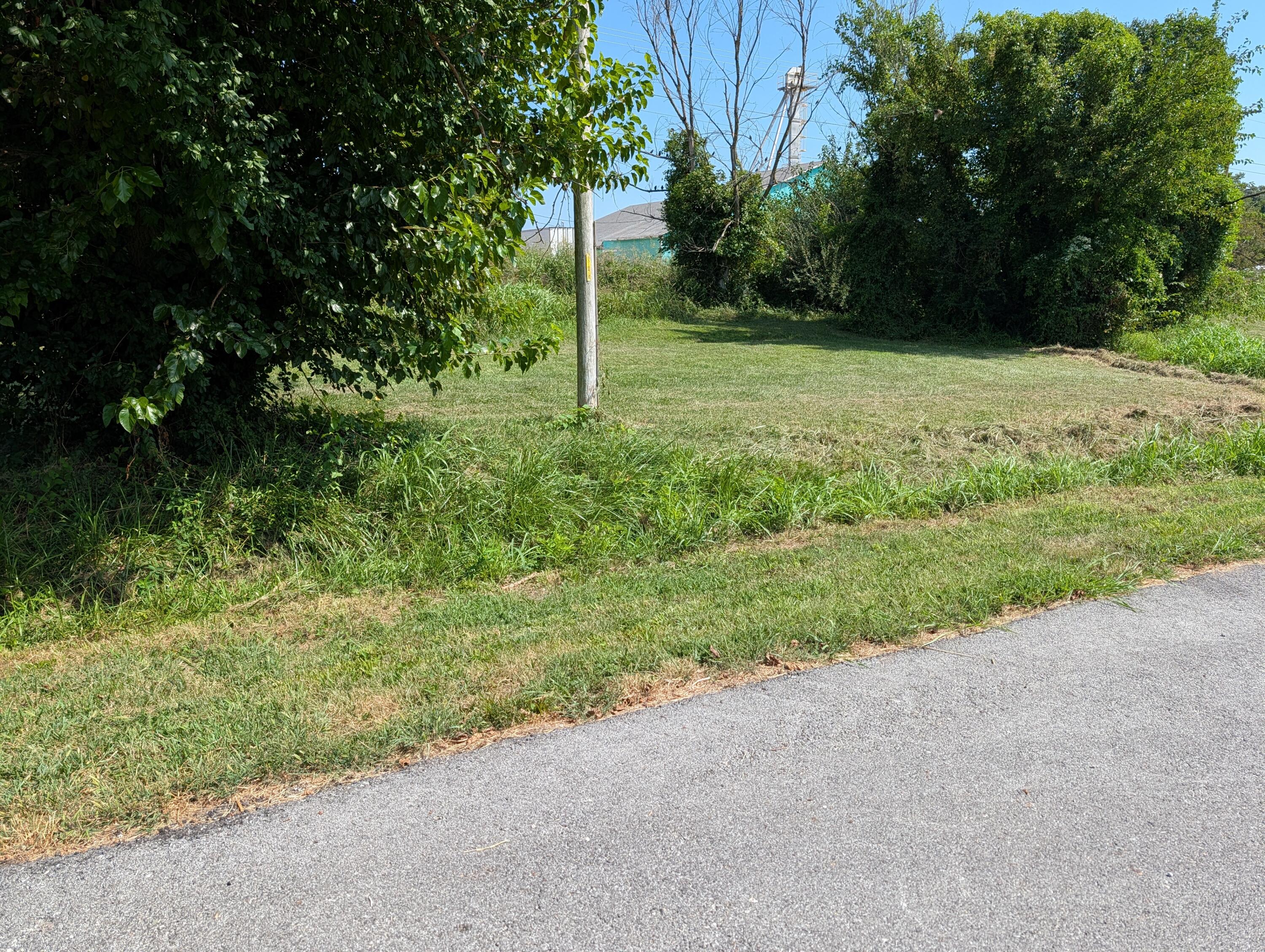 Photo 3 - Land for sale – 000 S Chustnut Street  Buffalo, MO