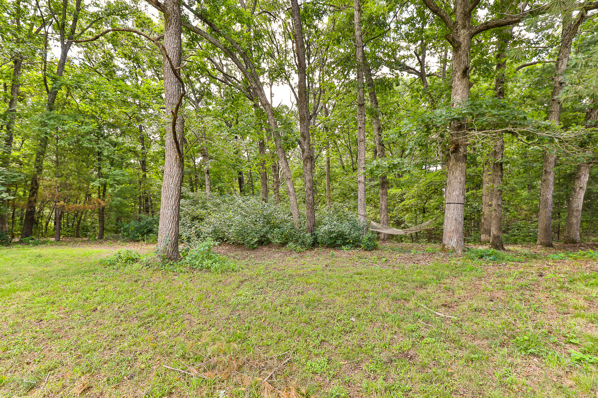 Photo 41 - Residential for sale – 9079 E Division Street  Strafford, MO