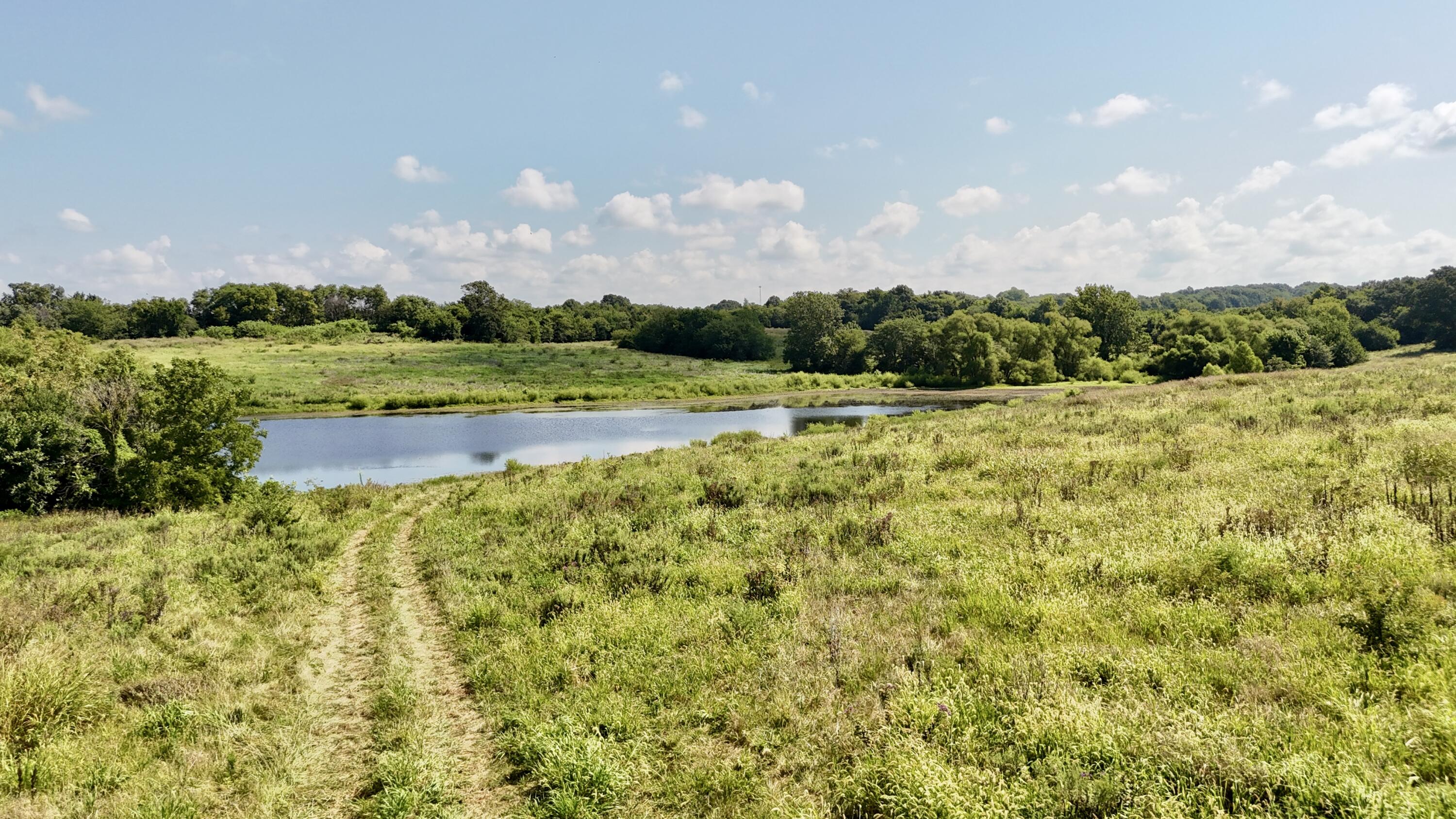 Photo 9 - Land for sale – 000 S 30th Road  Humansville, MO