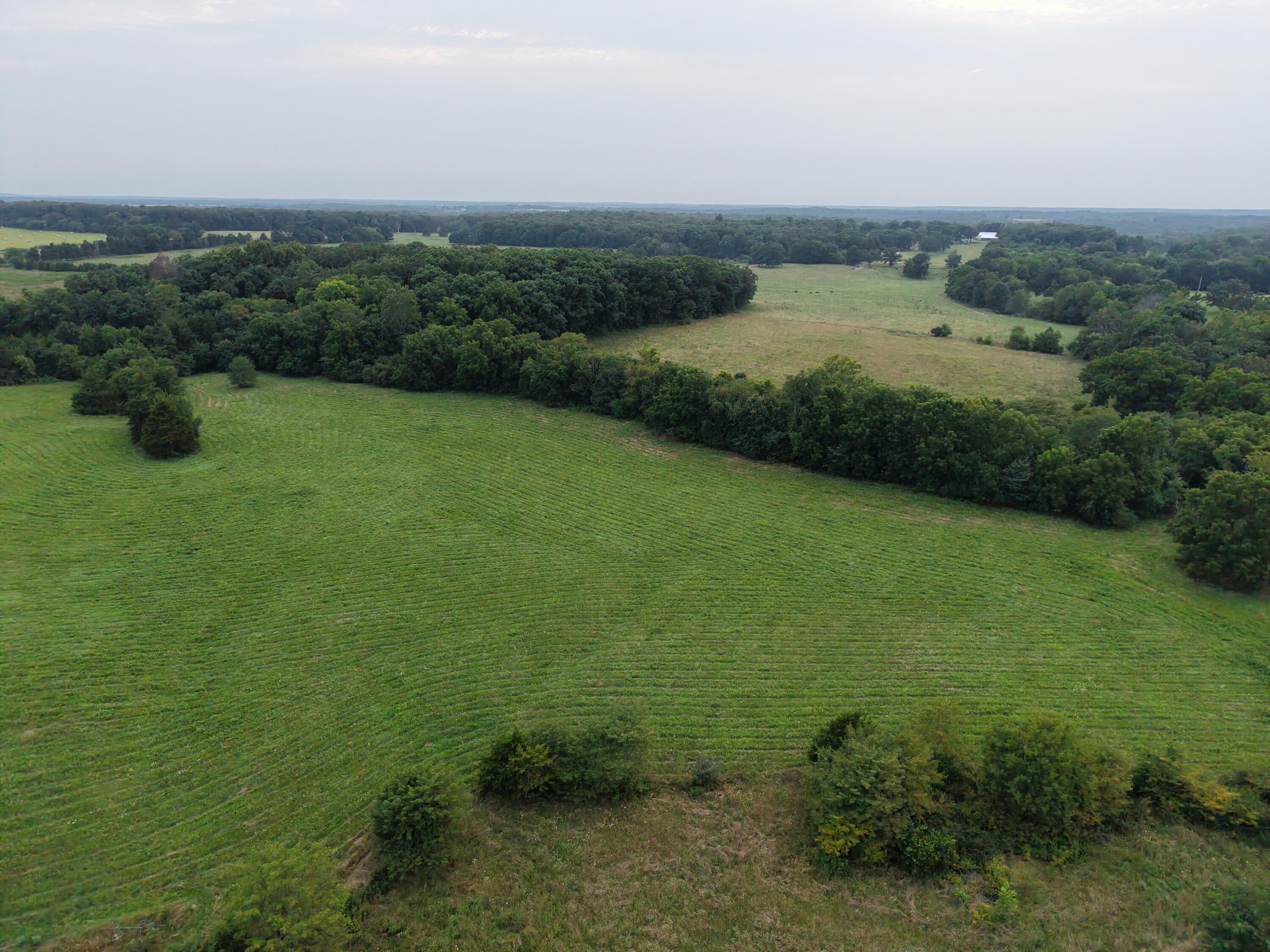 Photo 44 - Residential for sale – 2620  County Road 2300   Salem, MO