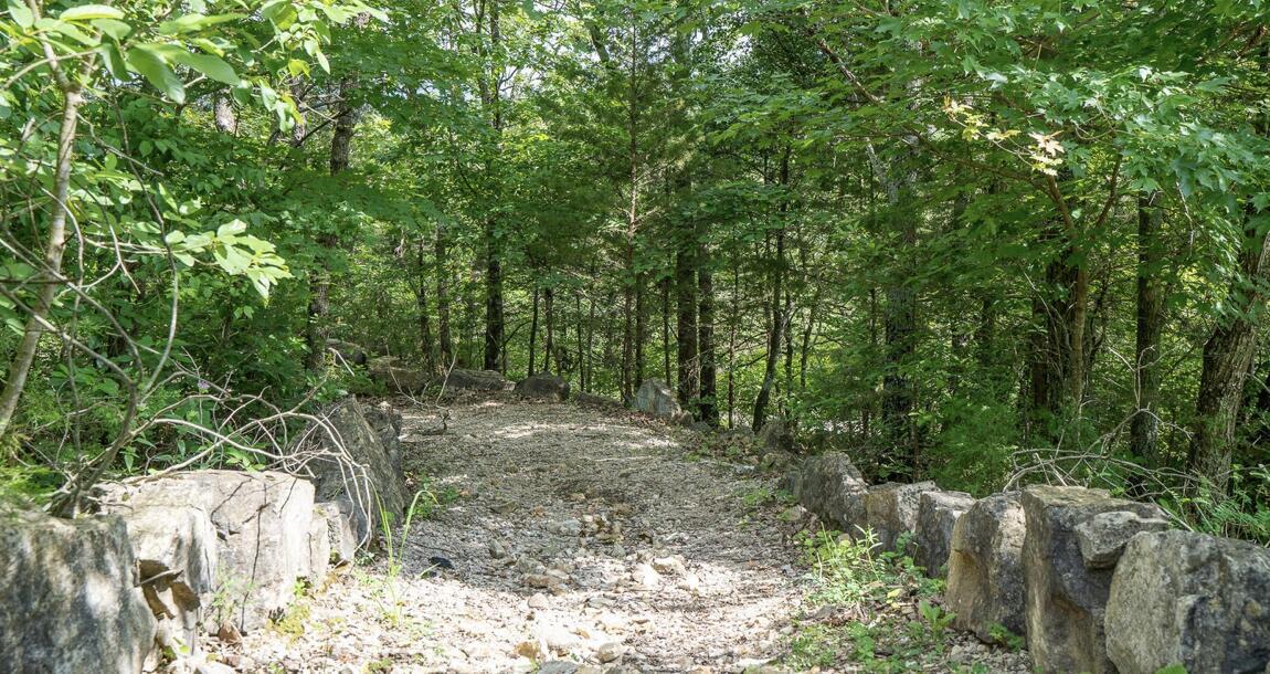 Photo 62 - Residential for sale – 4  Treehouse Lane  Branson, MO