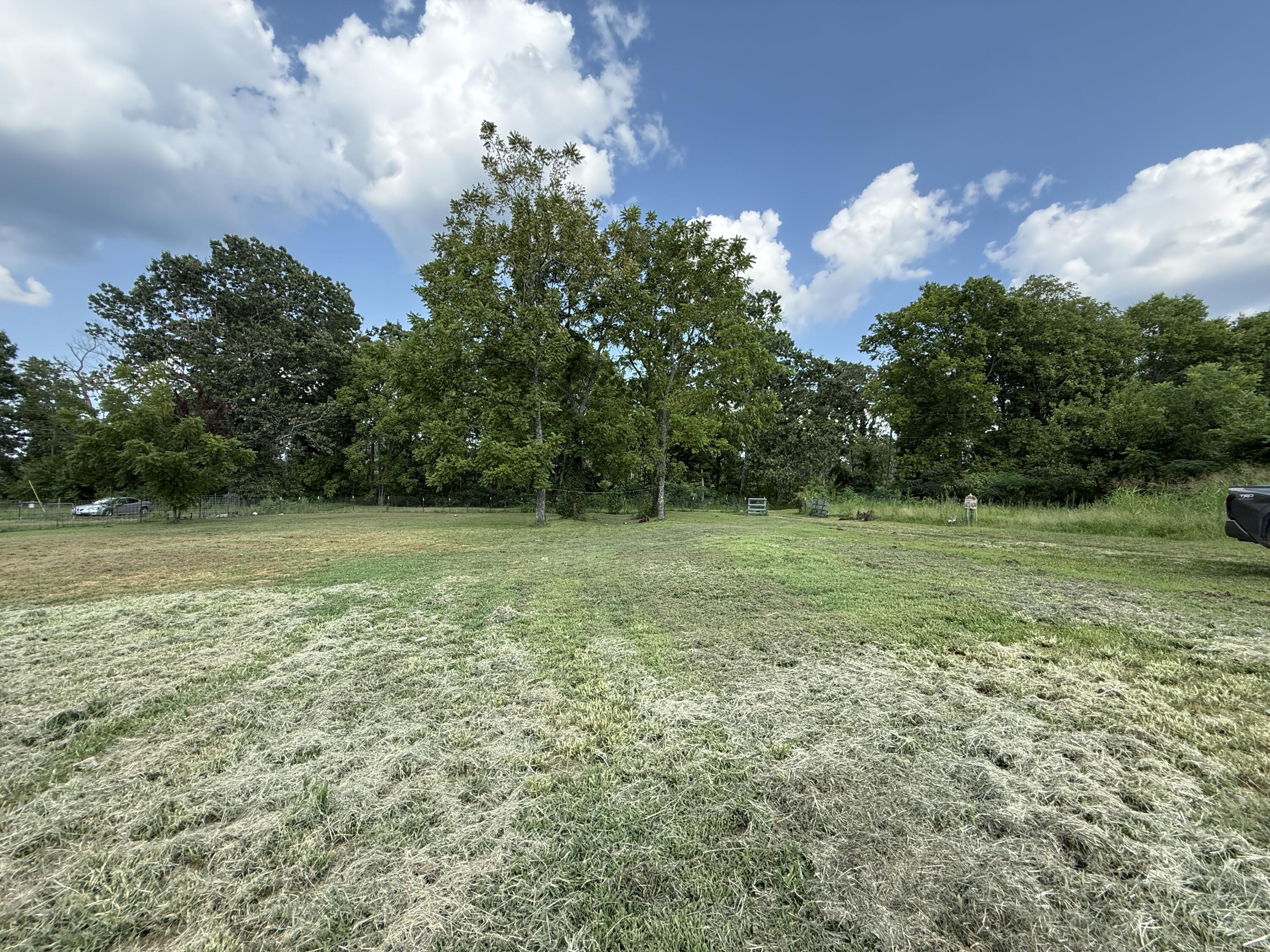 Photo 2 - Land for sale – 925  County Road 6140   Dora, MO