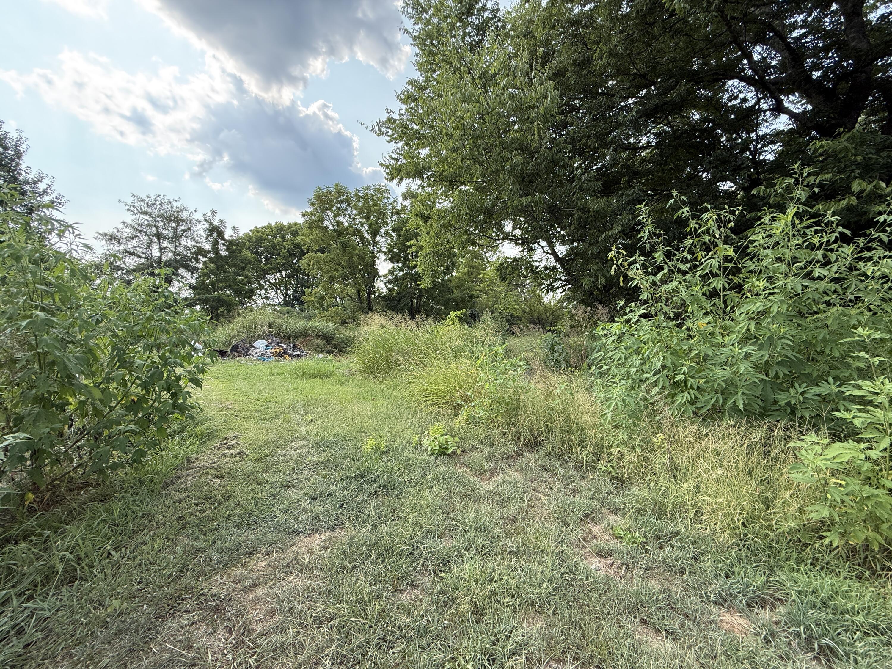 Photo 3 - Land for sale – 925  County Road 6140   Dora, MO