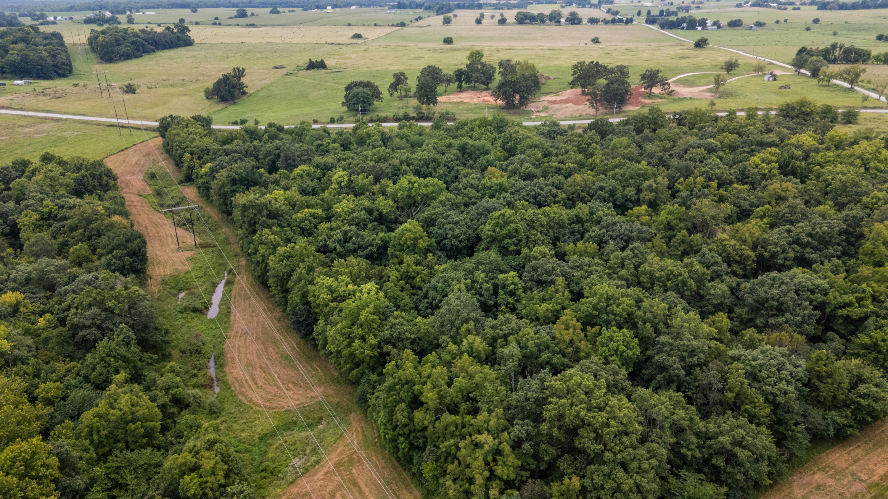 Photo 17 - Land for sale – Tract 2 N Farm Road 53   Walnut Grove, MO