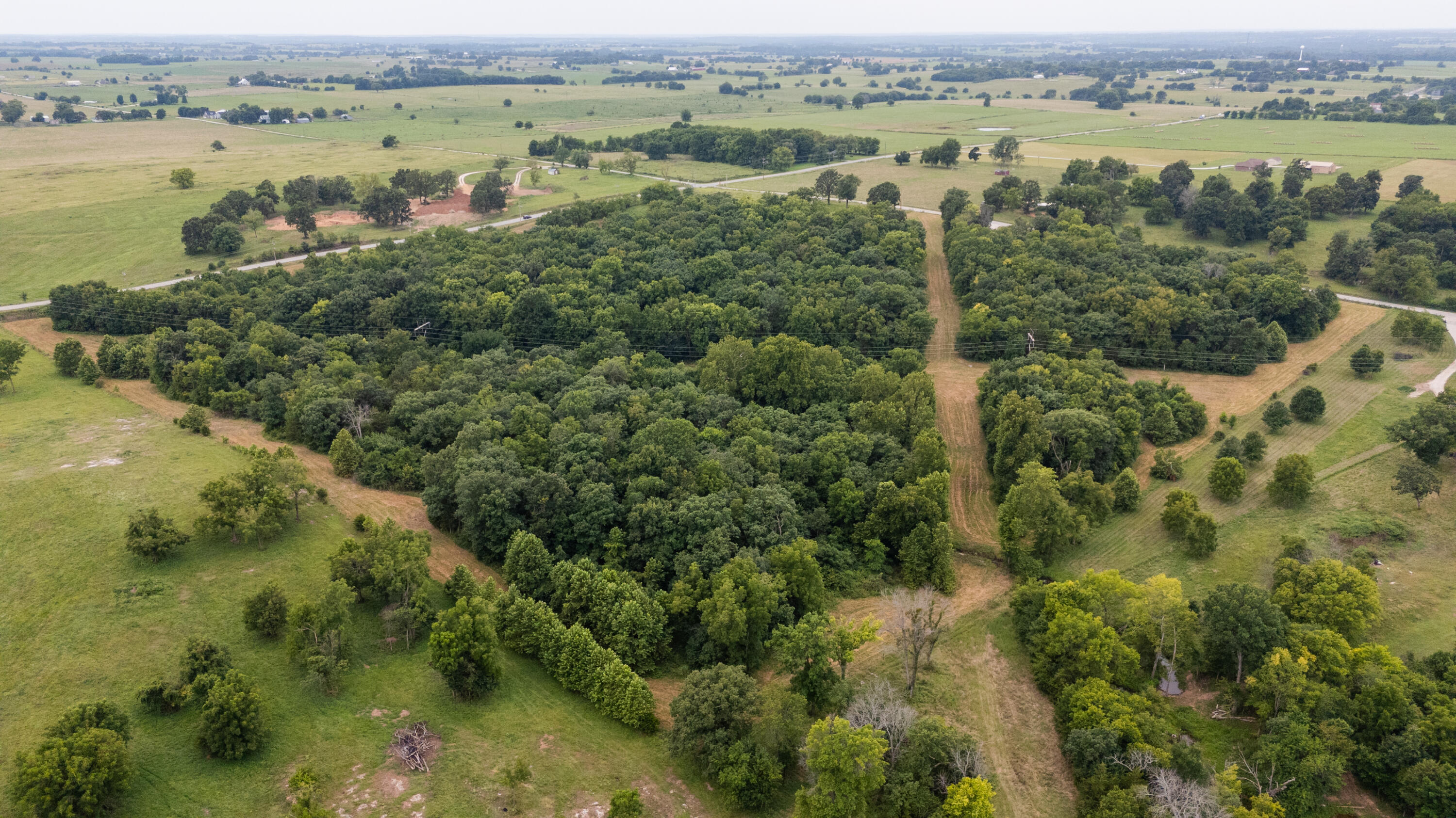 Photo 7 - Land for sale – Tract 2 N Farm Road 53   Walnut Grove, MO