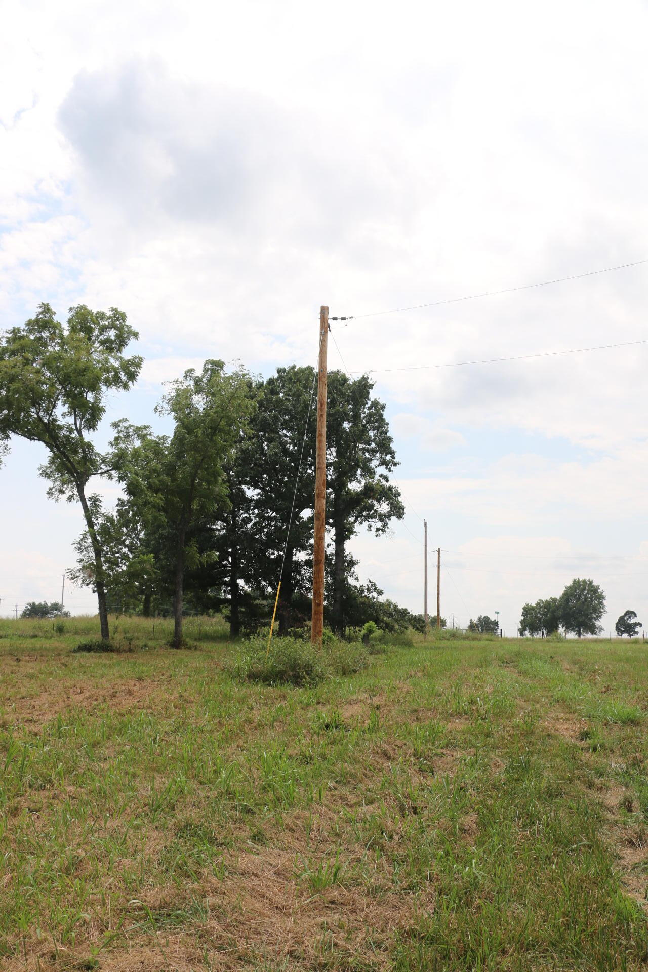 Photo 24 - Land for sale – Tract 2 N Farm Road 53   Walnut Grove, MO