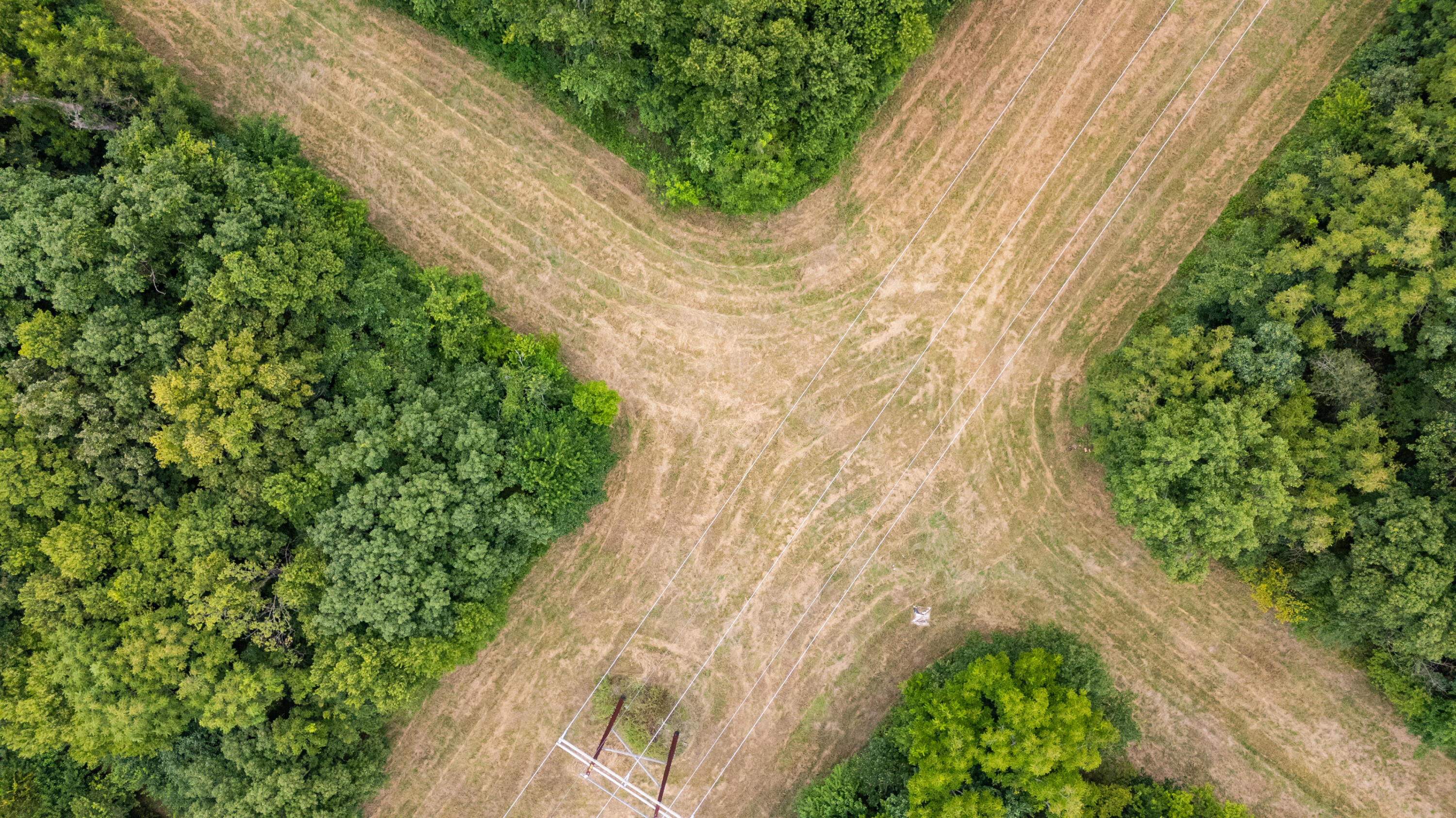 Photo 15 - Land for sale – Tract 2 N Farm Road 53   Walnut Grove, MO
