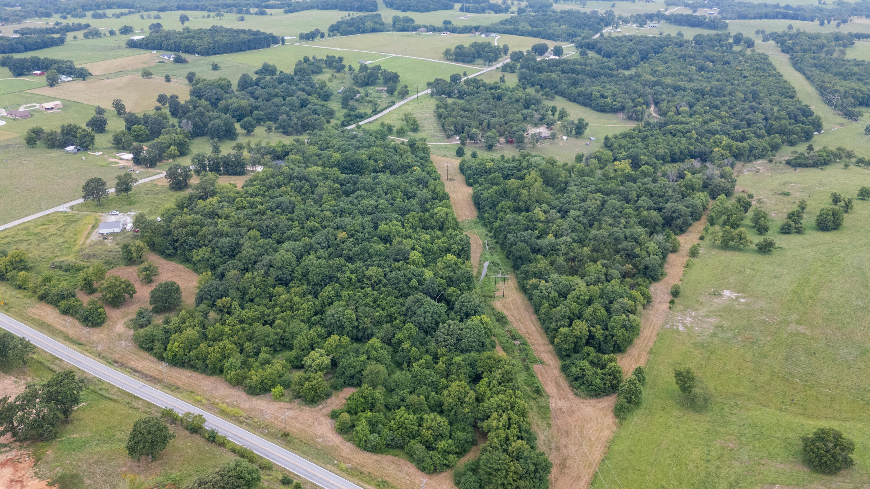 Photo 2 - Land for sale – Tract 2 N Farm Road 53   Walnut Grove, MO