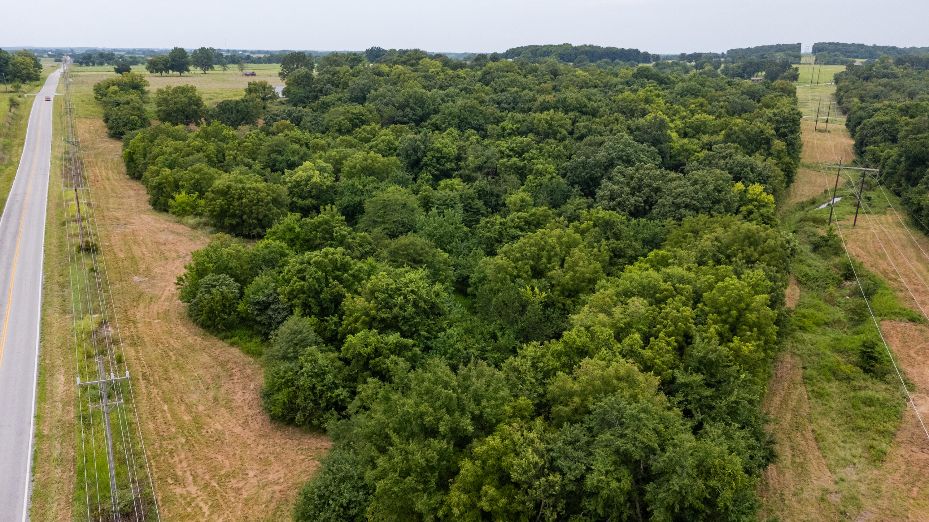 Photo 20 - Land for sale – Tract 2 N Farm Road 53   Walnut Grove, MO
