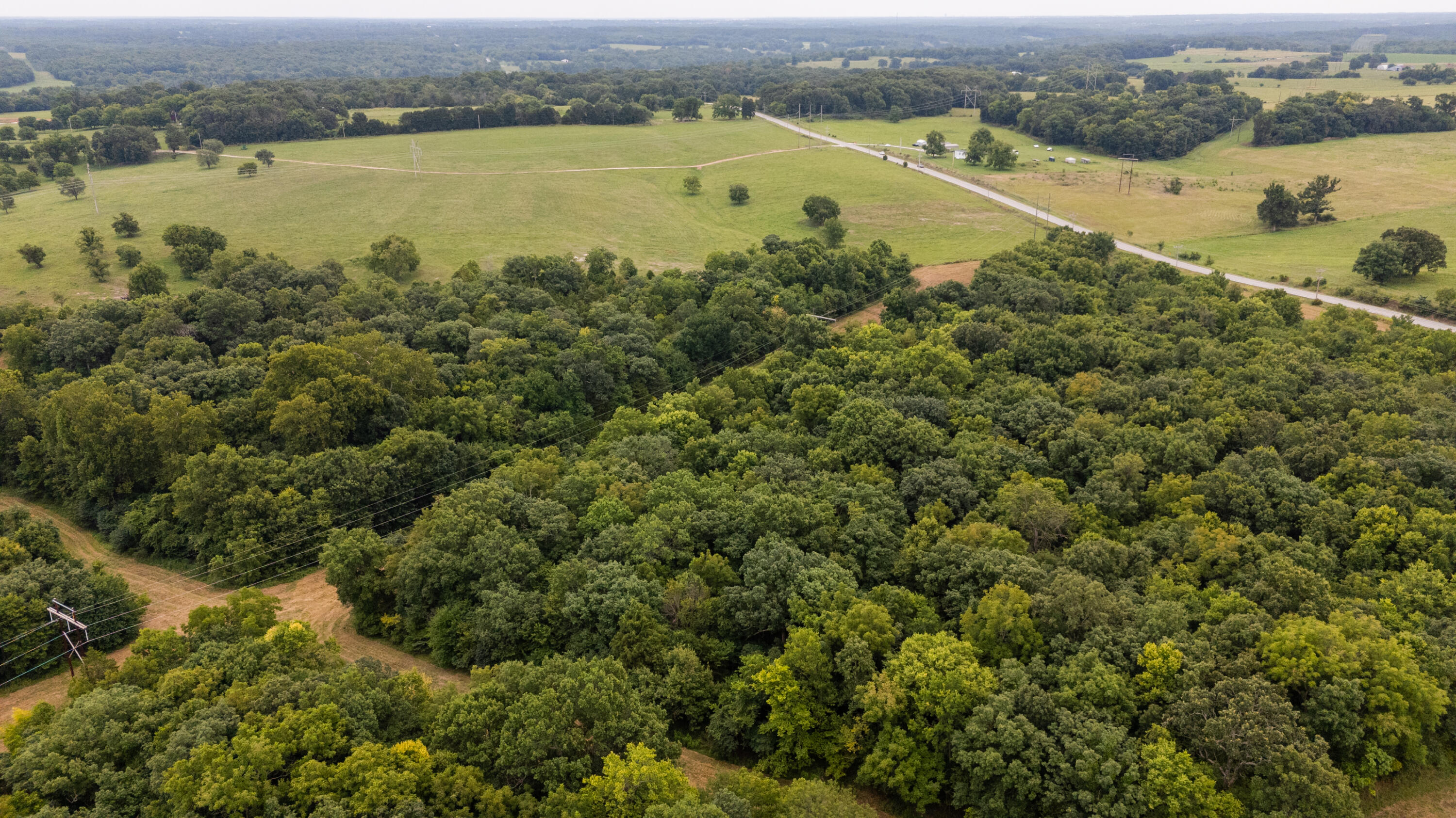 Photo 12 - Land for sale – Tract 2 N Farm Road 53   Walnut Grove, MO