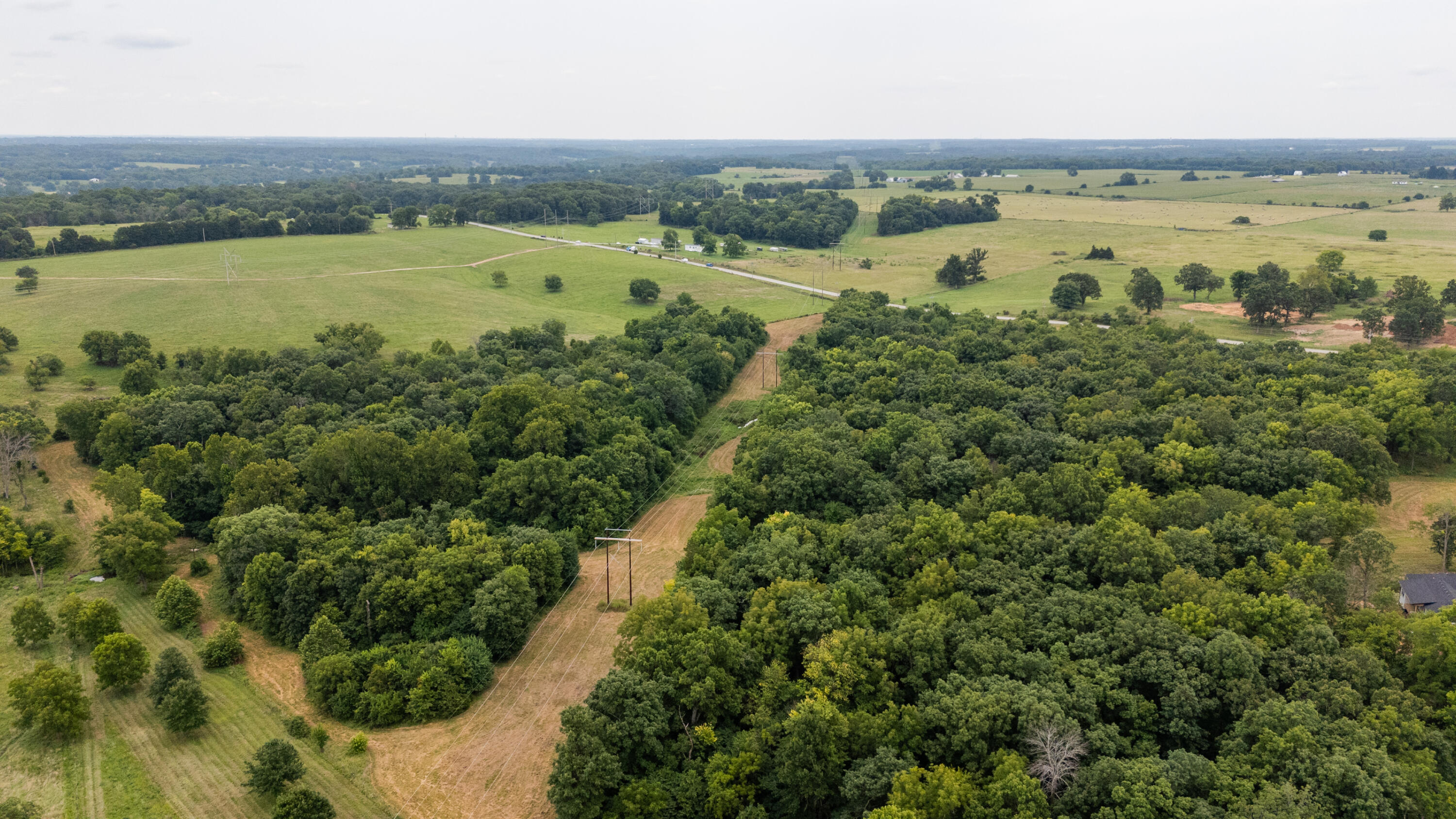Photo 10 - Land for sale – Tract 2 N Farm Road 53   Walnut Grove, MO