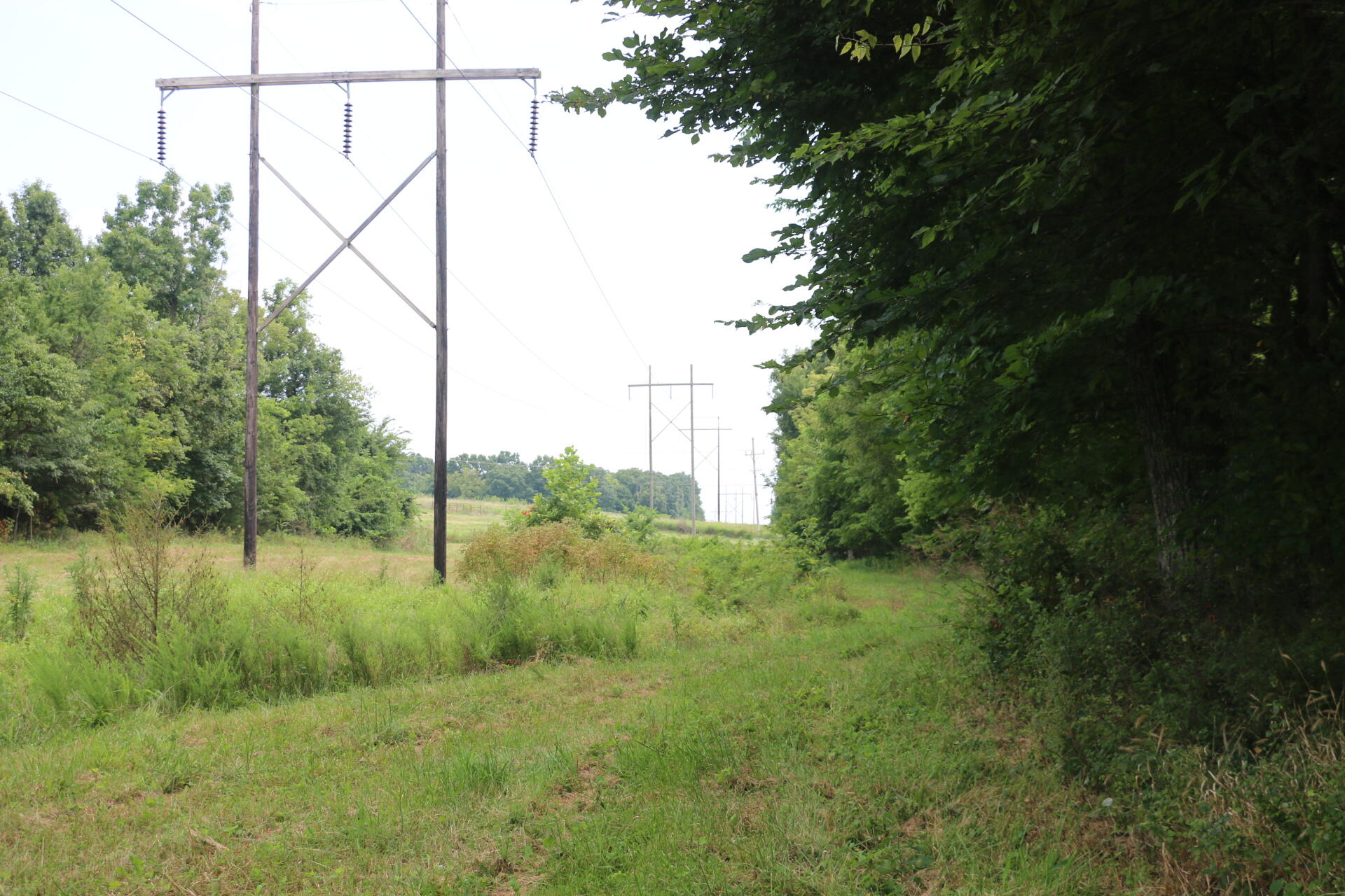 Photo 30 - Land for sale – Tract 2 N Farm Road 53   Walnut Grove, MO