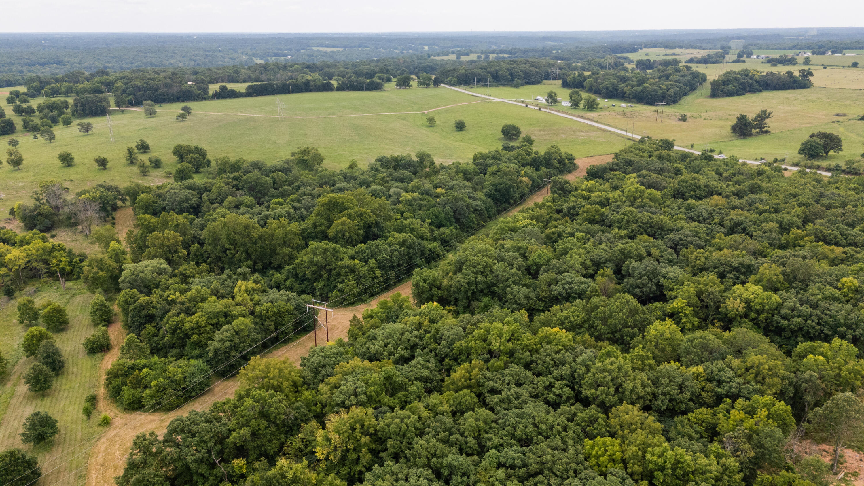 Photo 11 - Land for sale – Tract 2 N Farm Road 53   Walnut Grove, MO