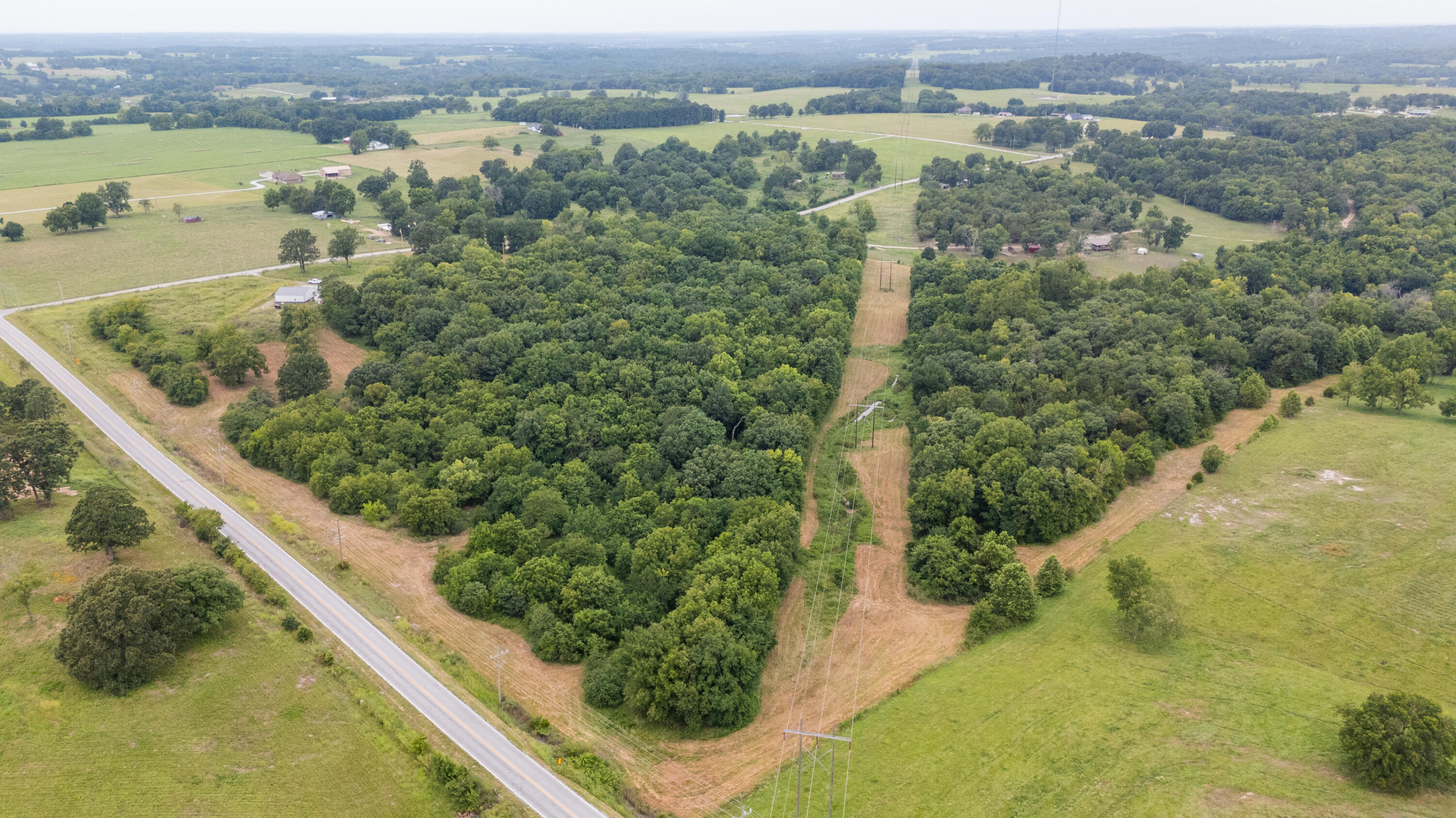 Photo 4 - Land for sale – Tract 2 N Farm Road 53   Walnut Grove, MO