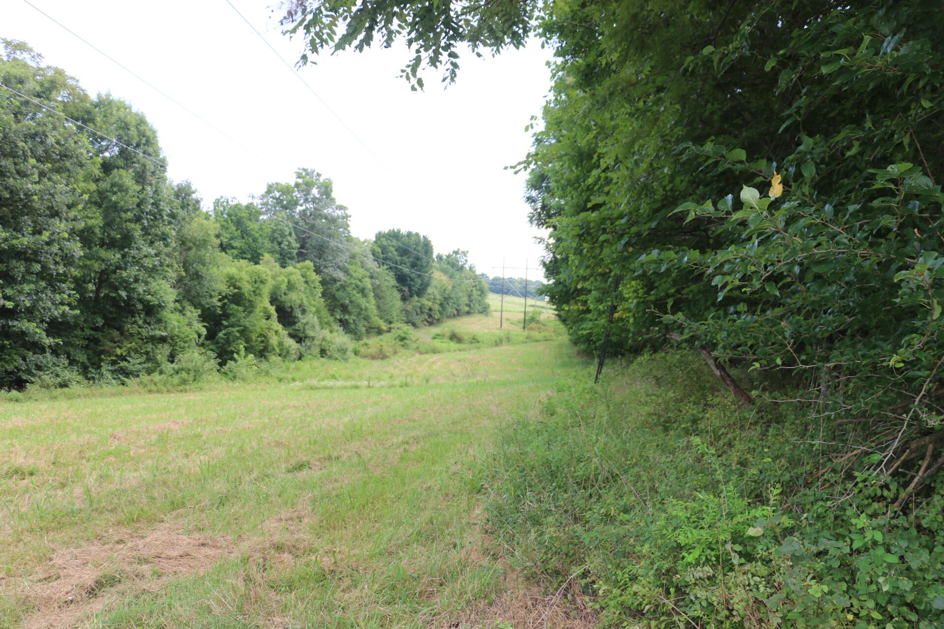 Photo 25 - Land for sale – Tract 2 N Farm Road 53   Walnut Grove, MO