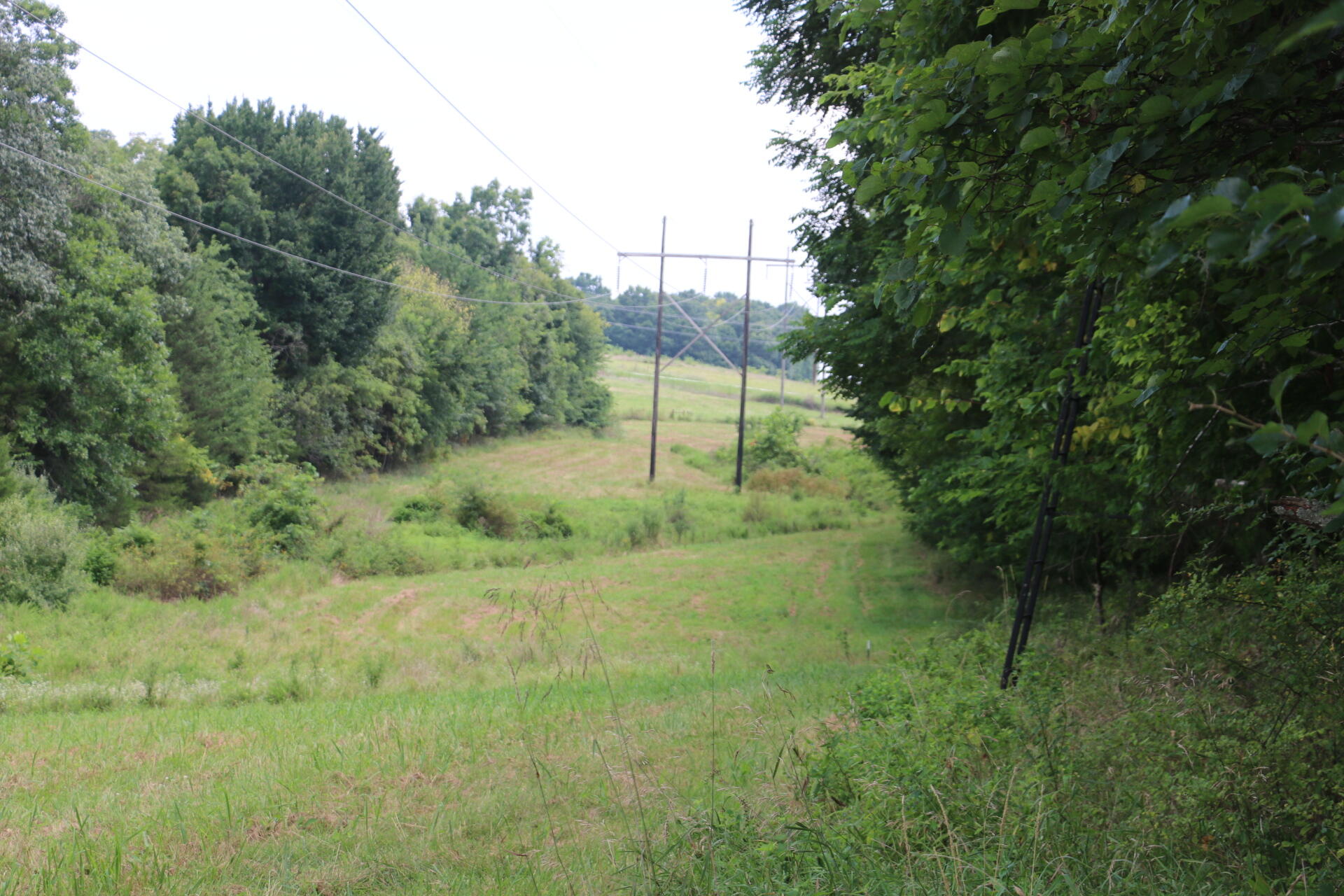 Photo 26 - Land for sale – Tract 2 N Farm Road 53   Walnut Grove, MO