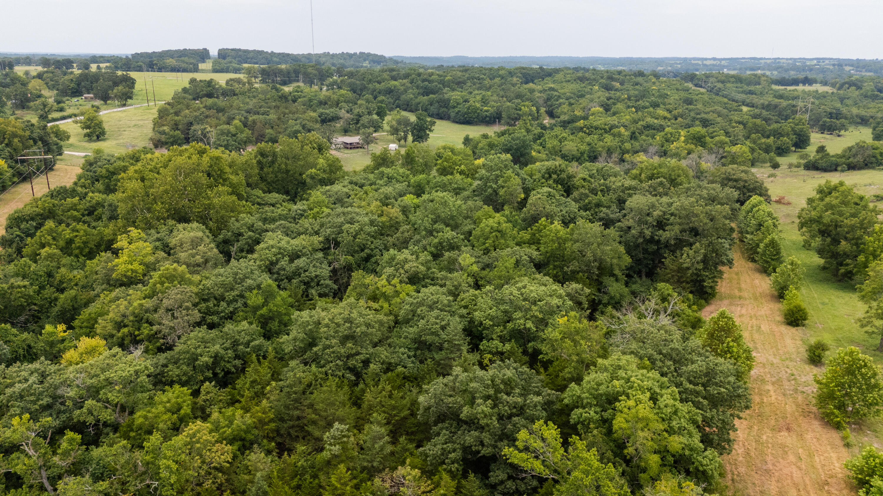 Photo 19 - Land for sale – Tract 2 N Farm Road 53   Walnut Grove, MO