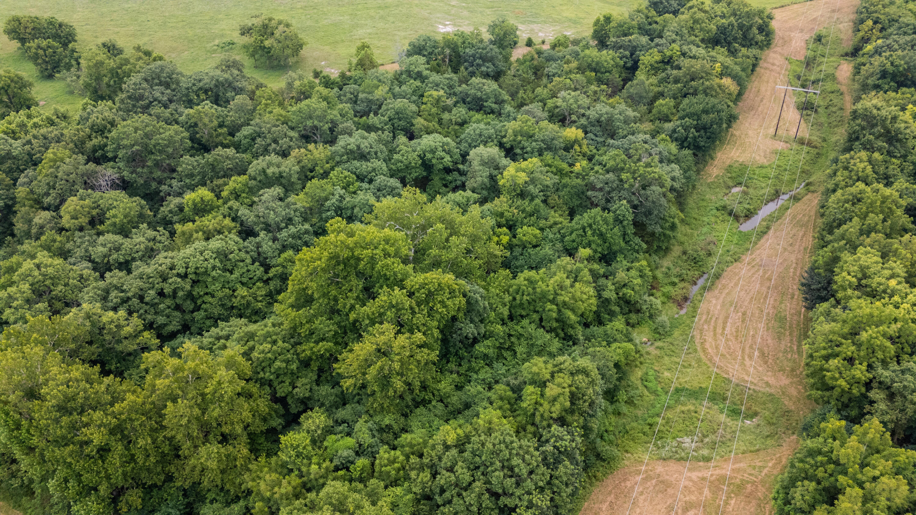 Photo 16 - Land for sale – Tract 2 N Farm Road 53   Walnut Grove, MO