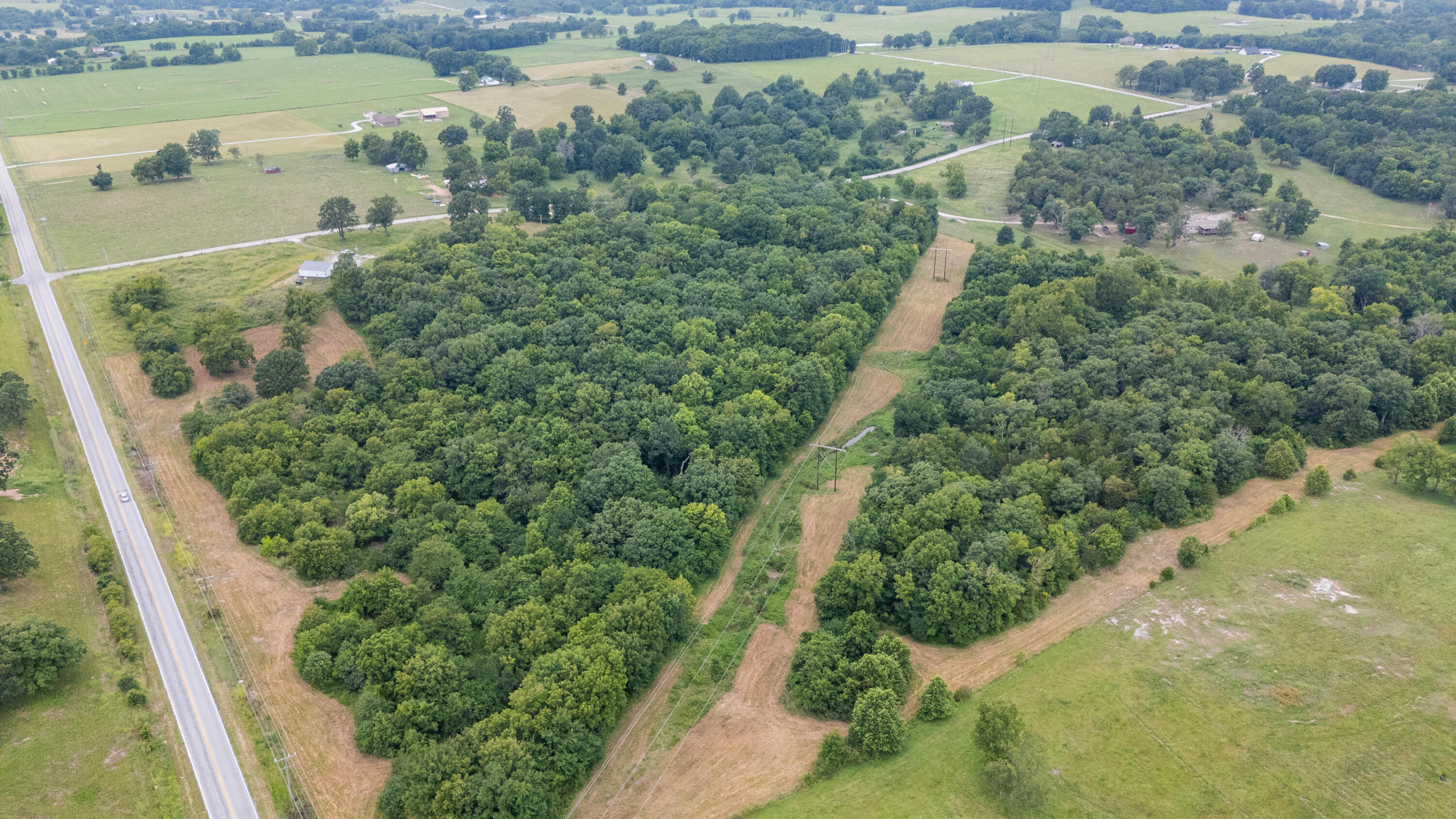 Photo 3 - Land for sale – Tract 2 N Farm Road 53   Walnut Grove, MO