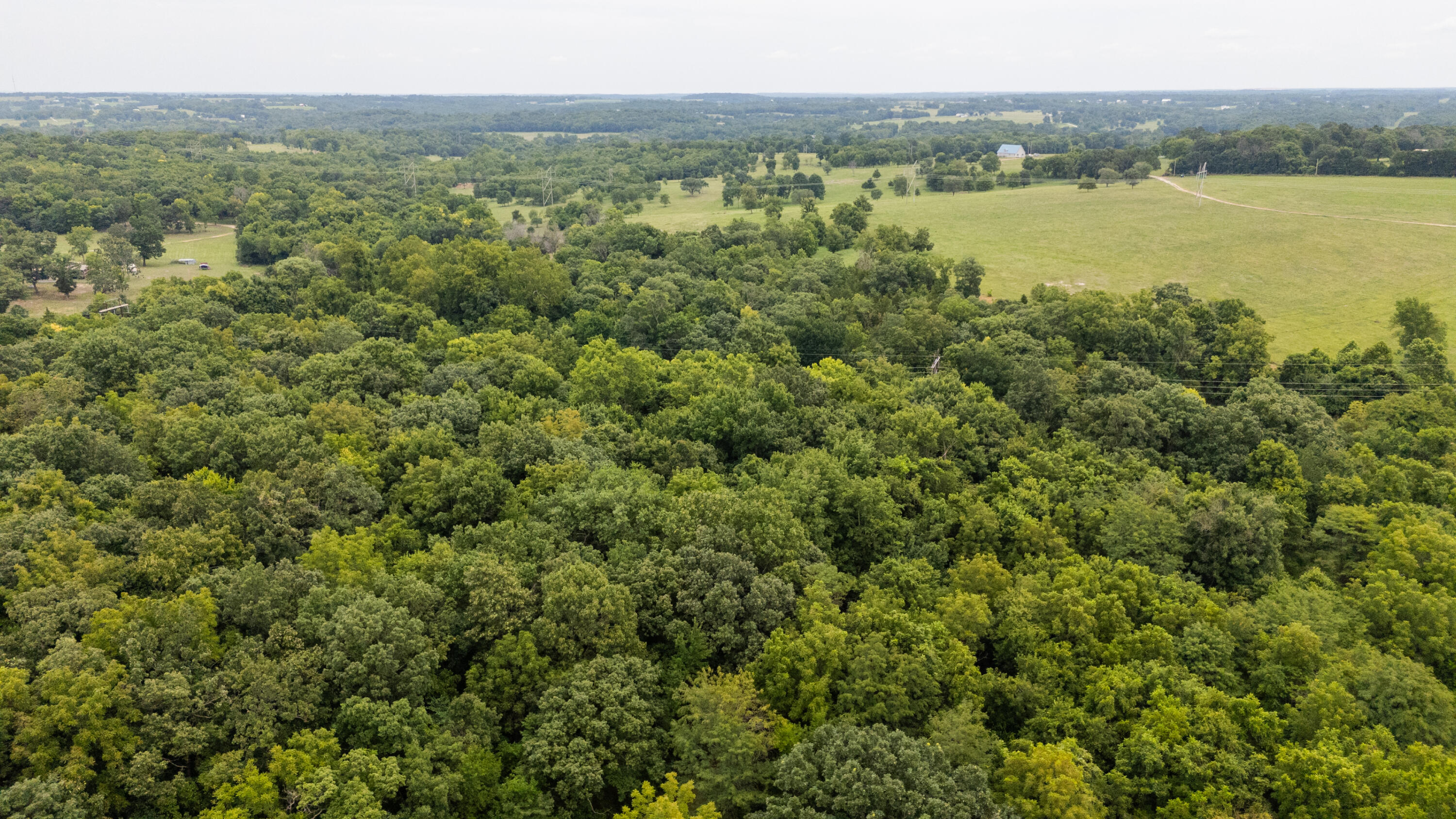 Photo 22 - Land for sale – Tract 2 N Farm Road 53   Walnut Grove, MO