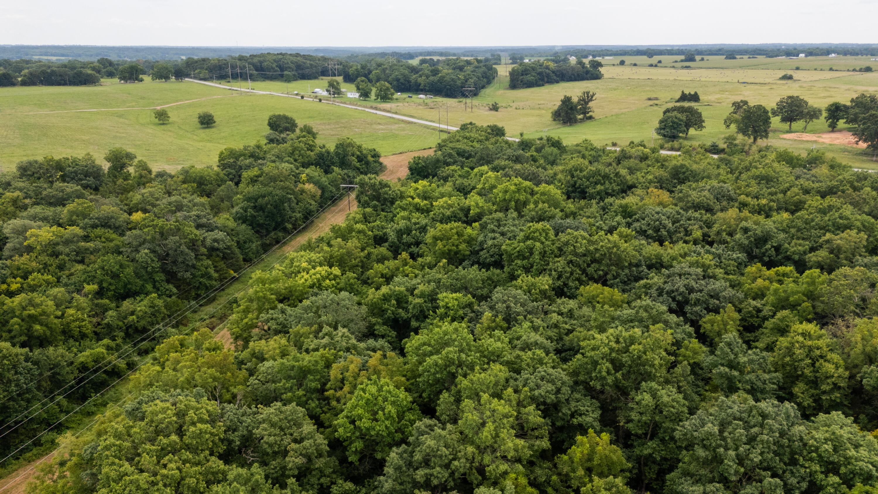 Photo 14 - Land for sale – Tract 2 N Farm Road 53   Walnut Grove, MO