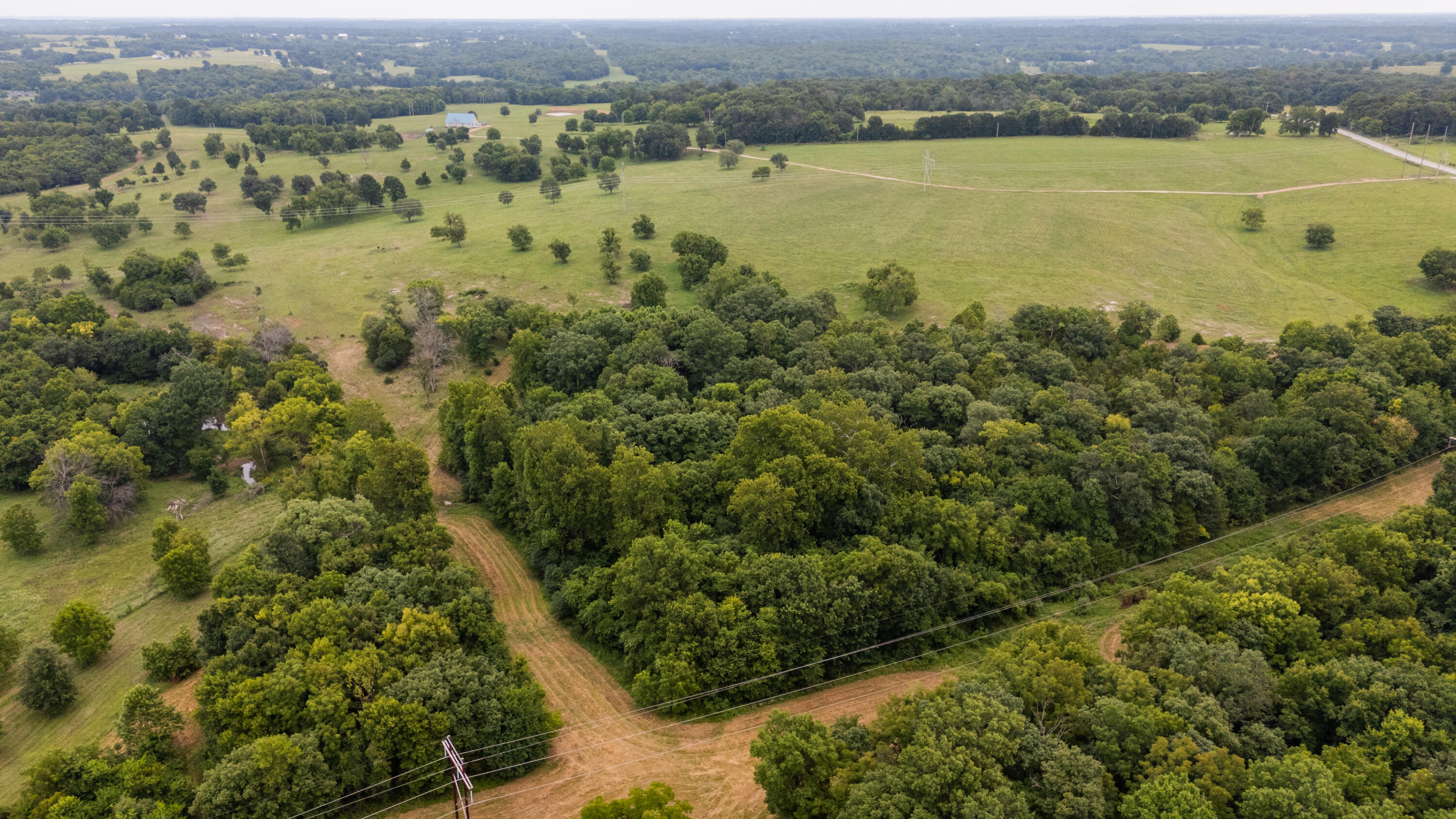 Photo 13 - Land for sale – Tract 2 N Farm Road 53   Walnut Grove, MO