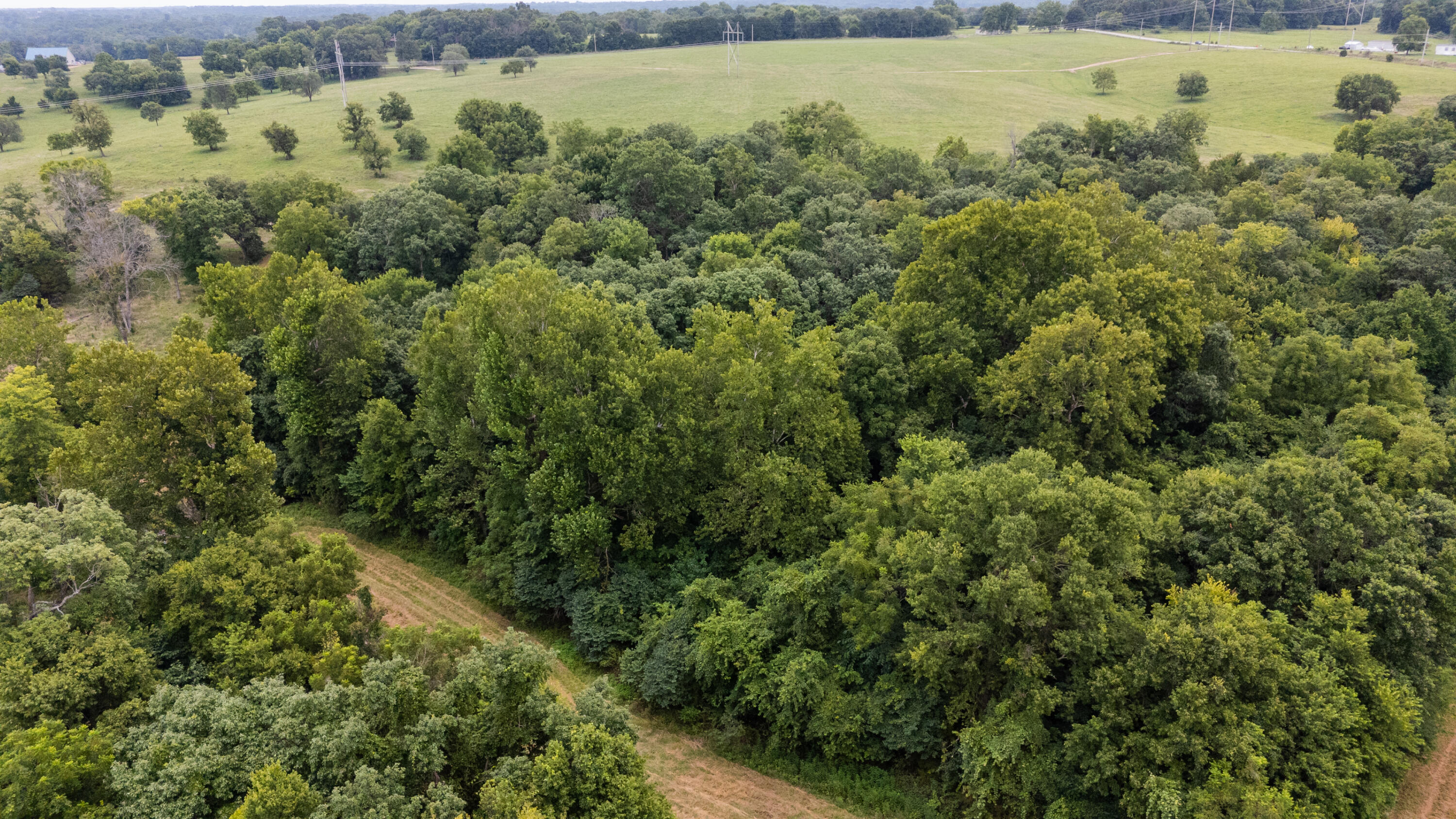 Photo 18 - Land for sale – Tract 2 N Farm Road 53   Walnut Grove, MO